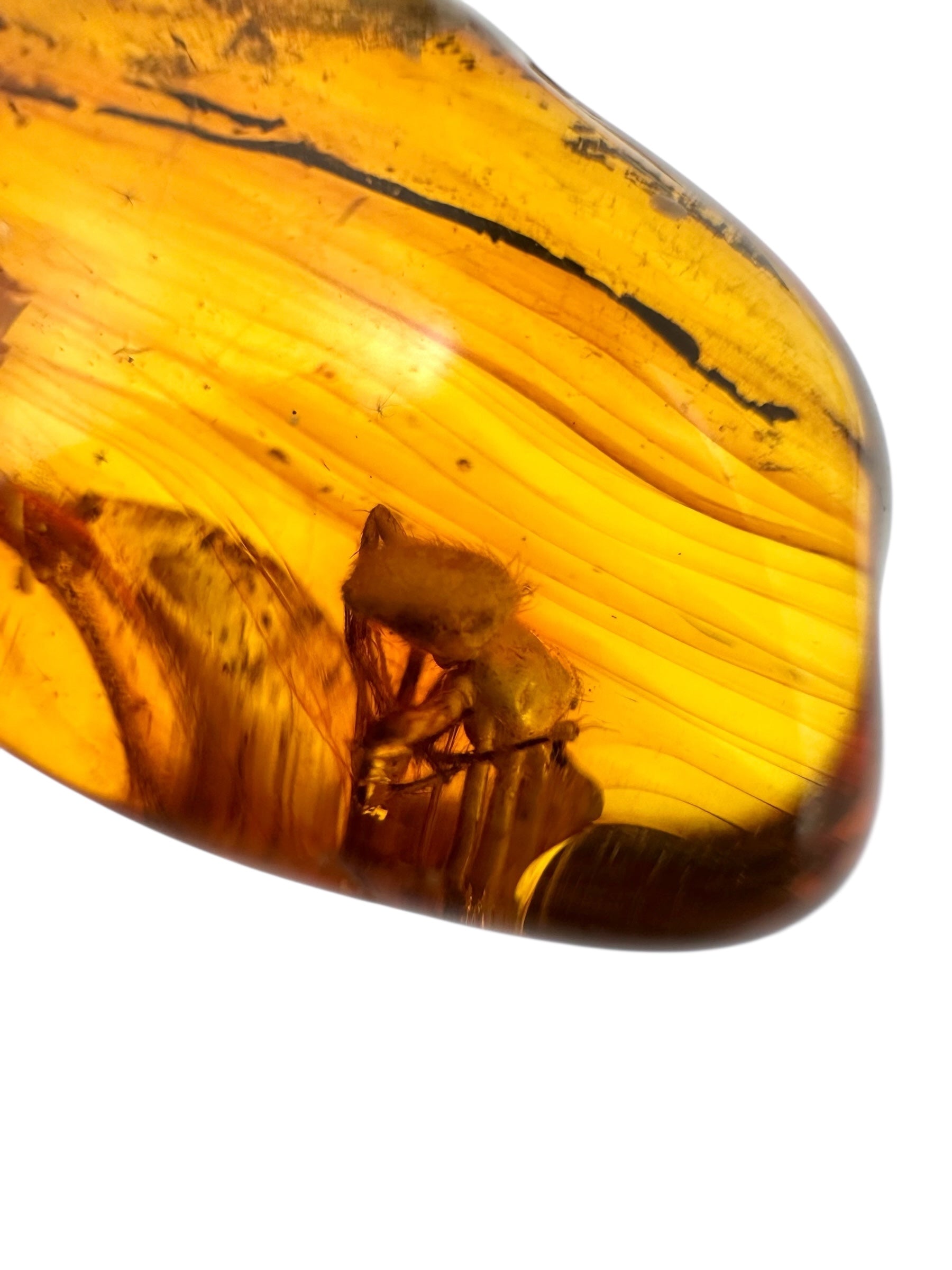Insects in amber 5,1g – Lithuania - IJ115