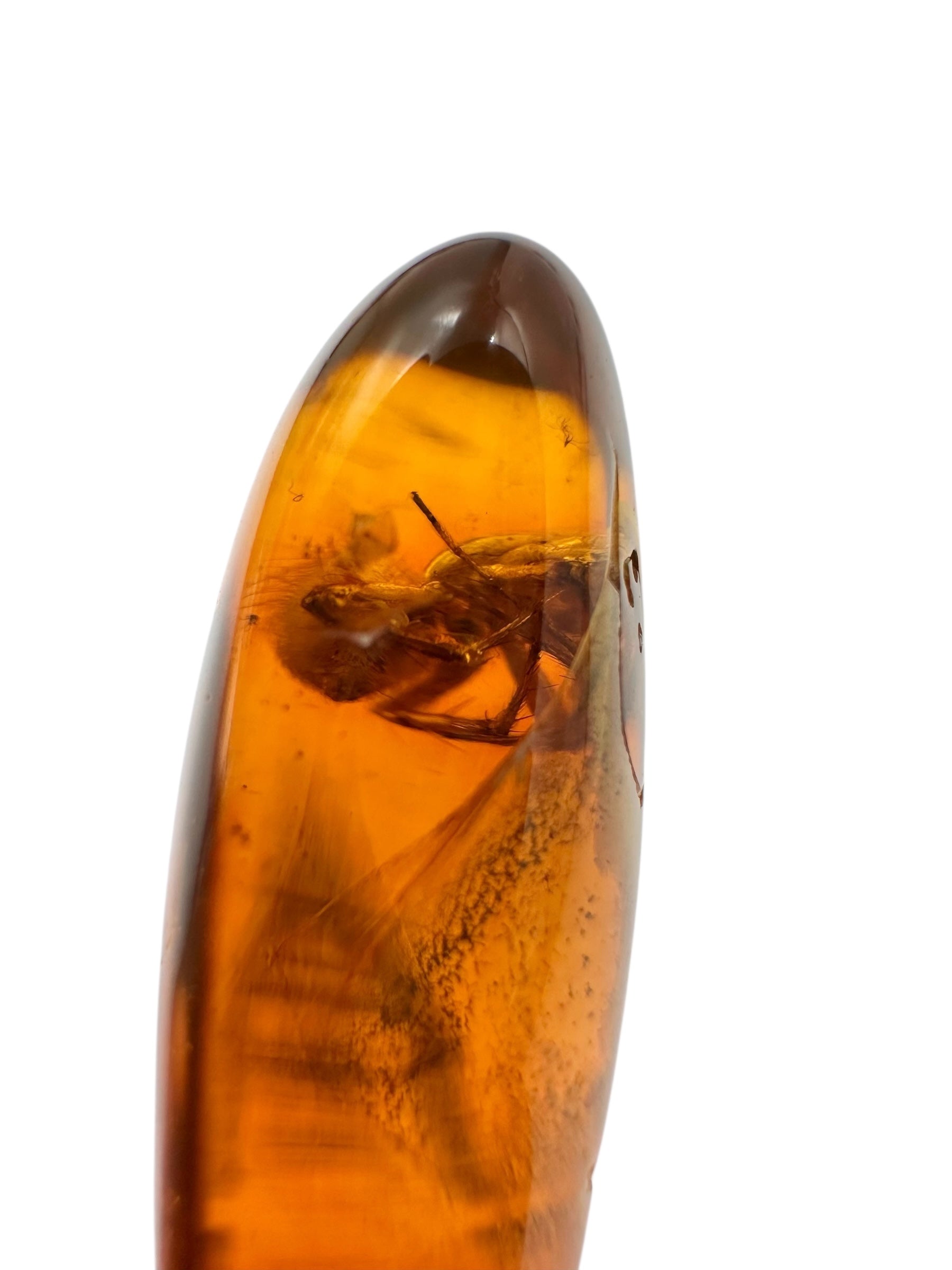 Insects in amber 5,1g – Lithuania - IJ115