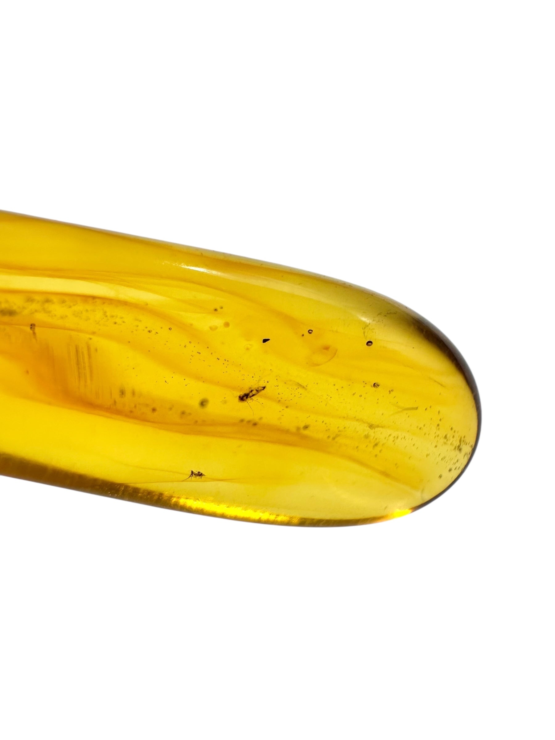 Insects in amber 5,1g – Lithuania - IJ115