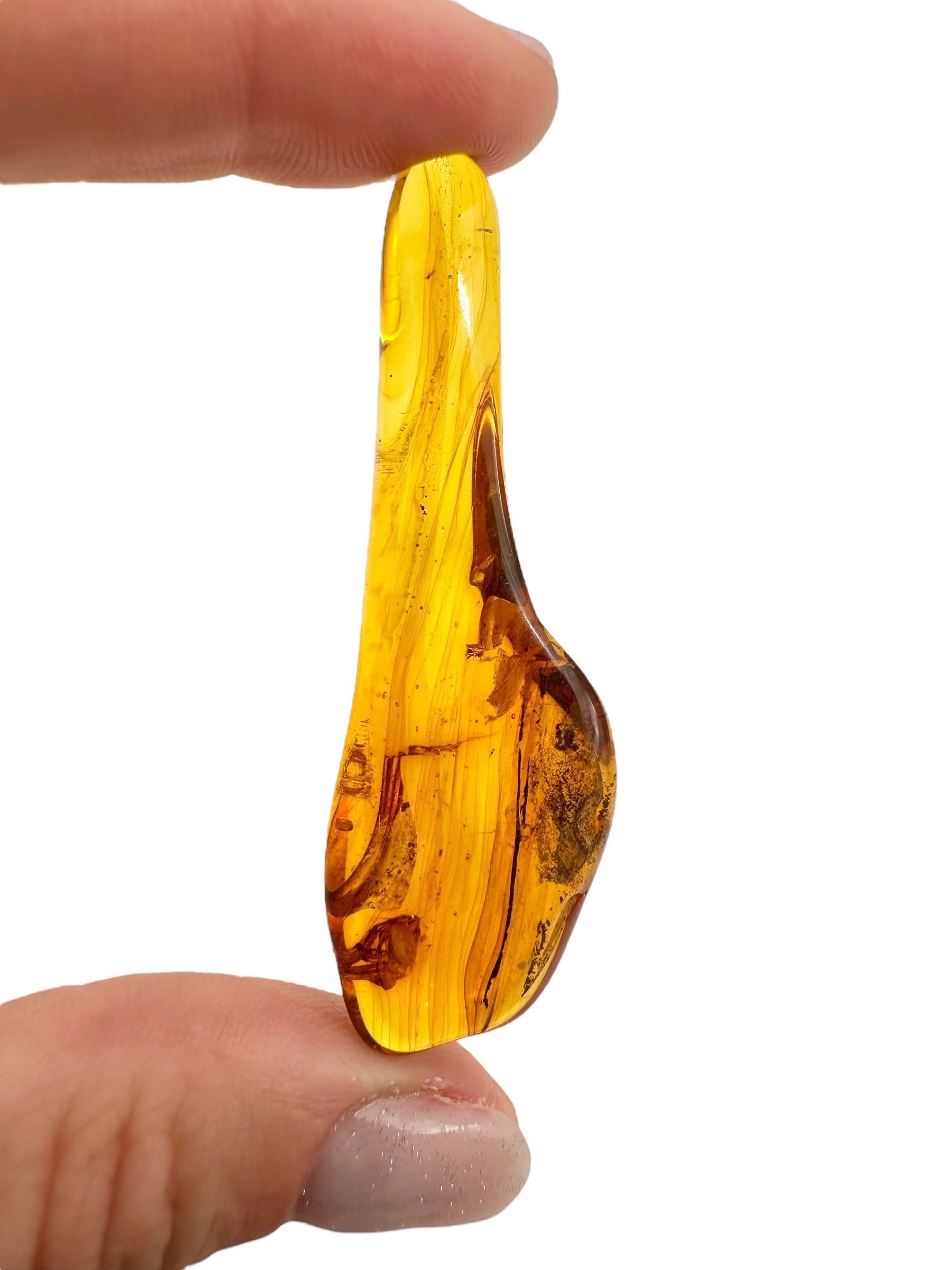 Insects in amber 5,1g – Lithuania