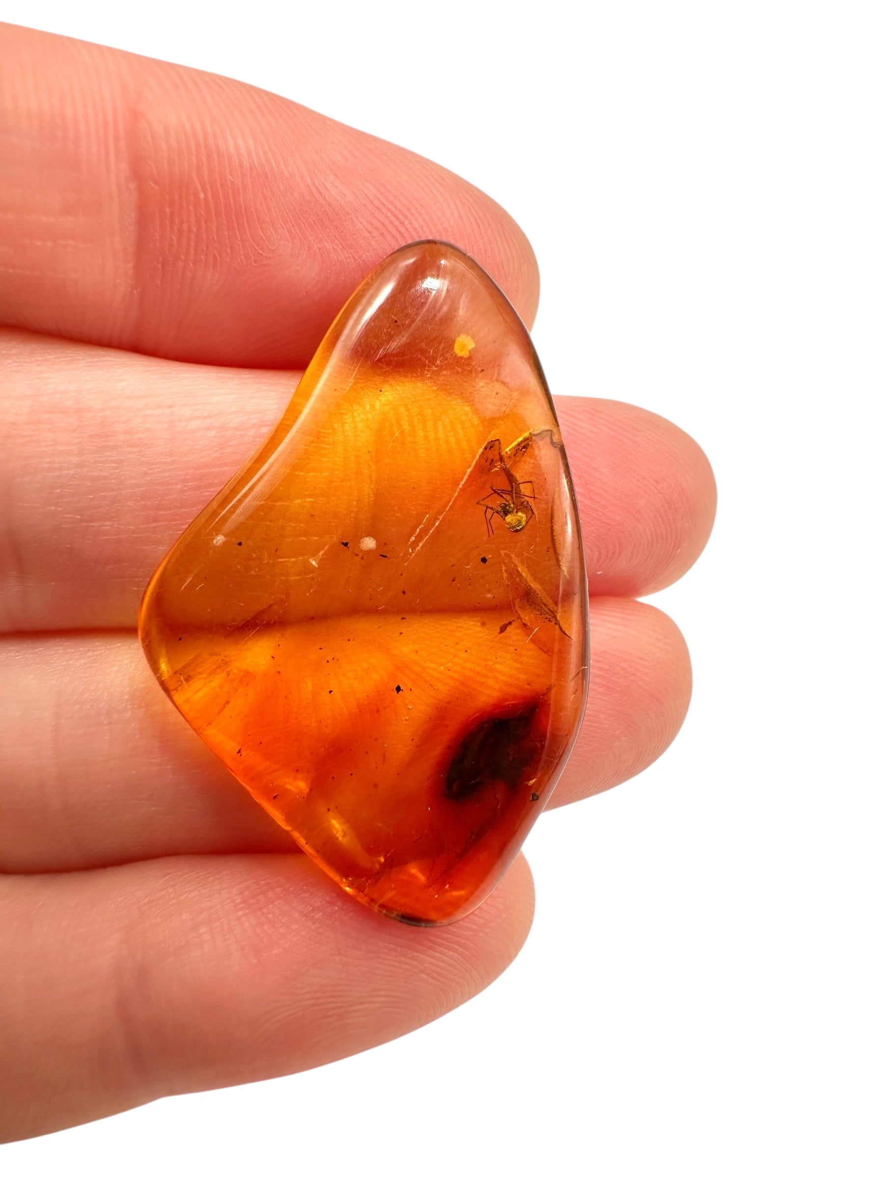 Insects in amber 2g – Lithuania - IJ116