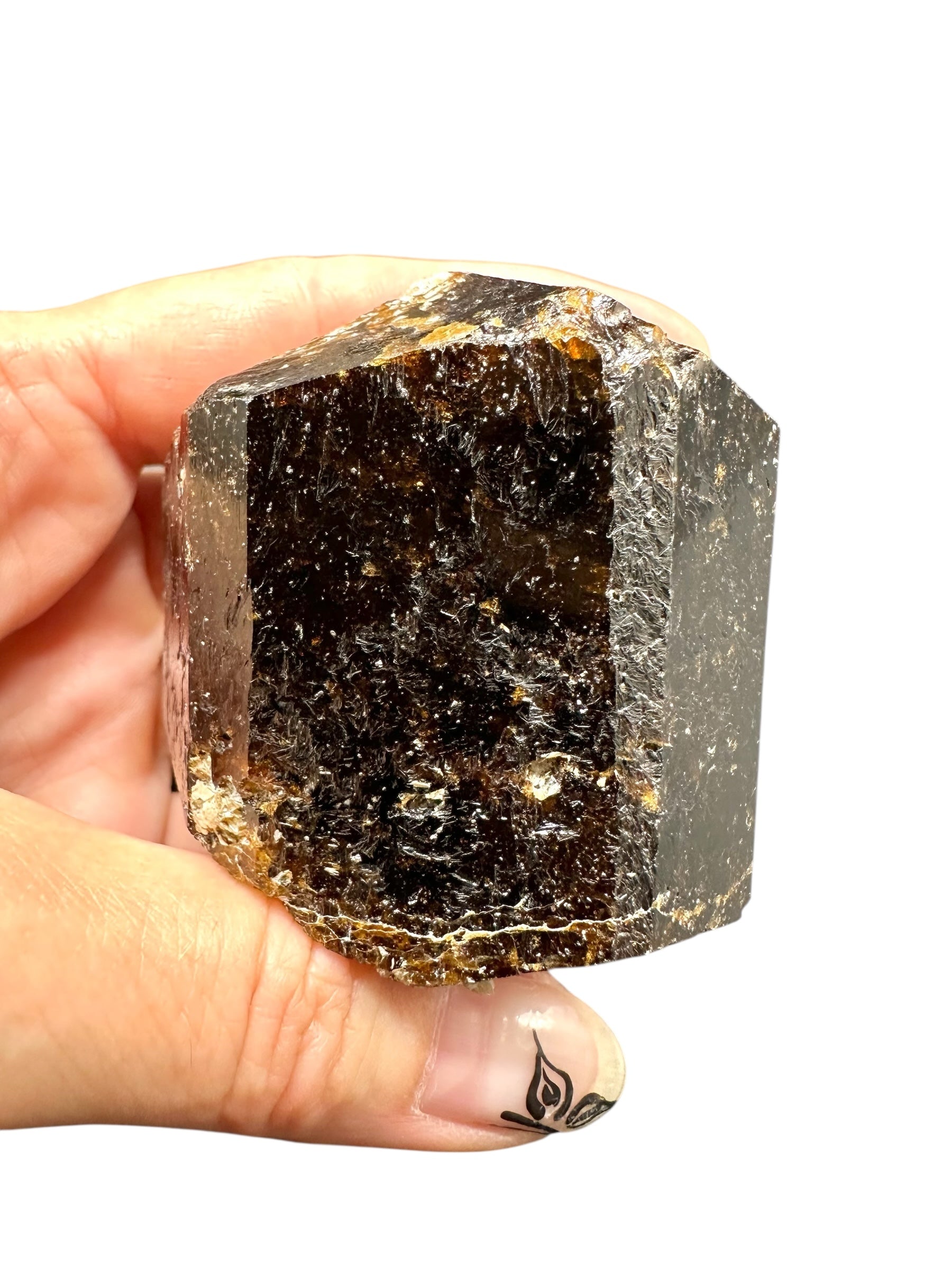 Tourmaline (Dravite) – Yinnietharra, Pilbara, Western Australia - TU01