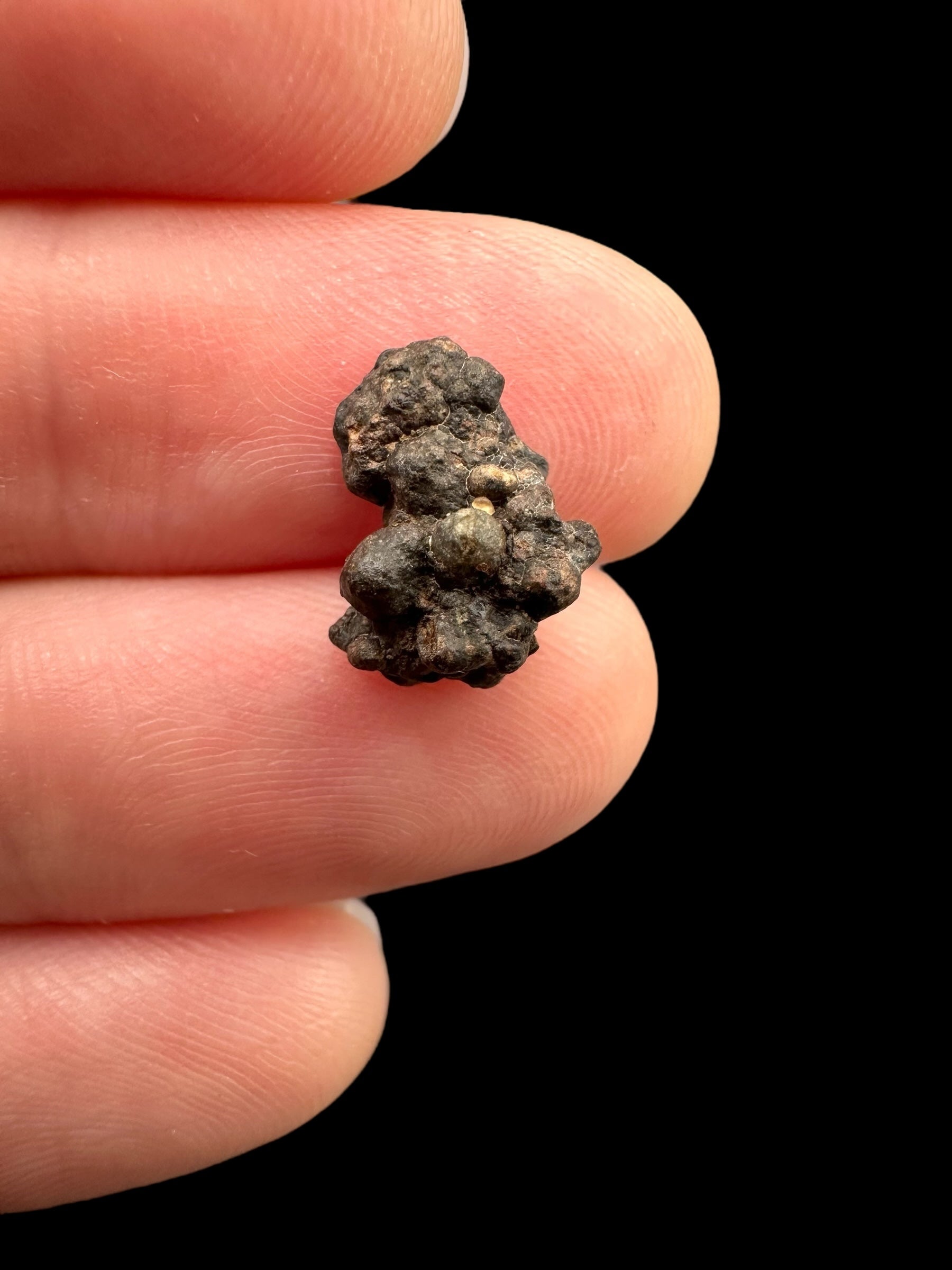 Meteorite Erg Chech 003 – 0,5g – Algeria - MEECH21