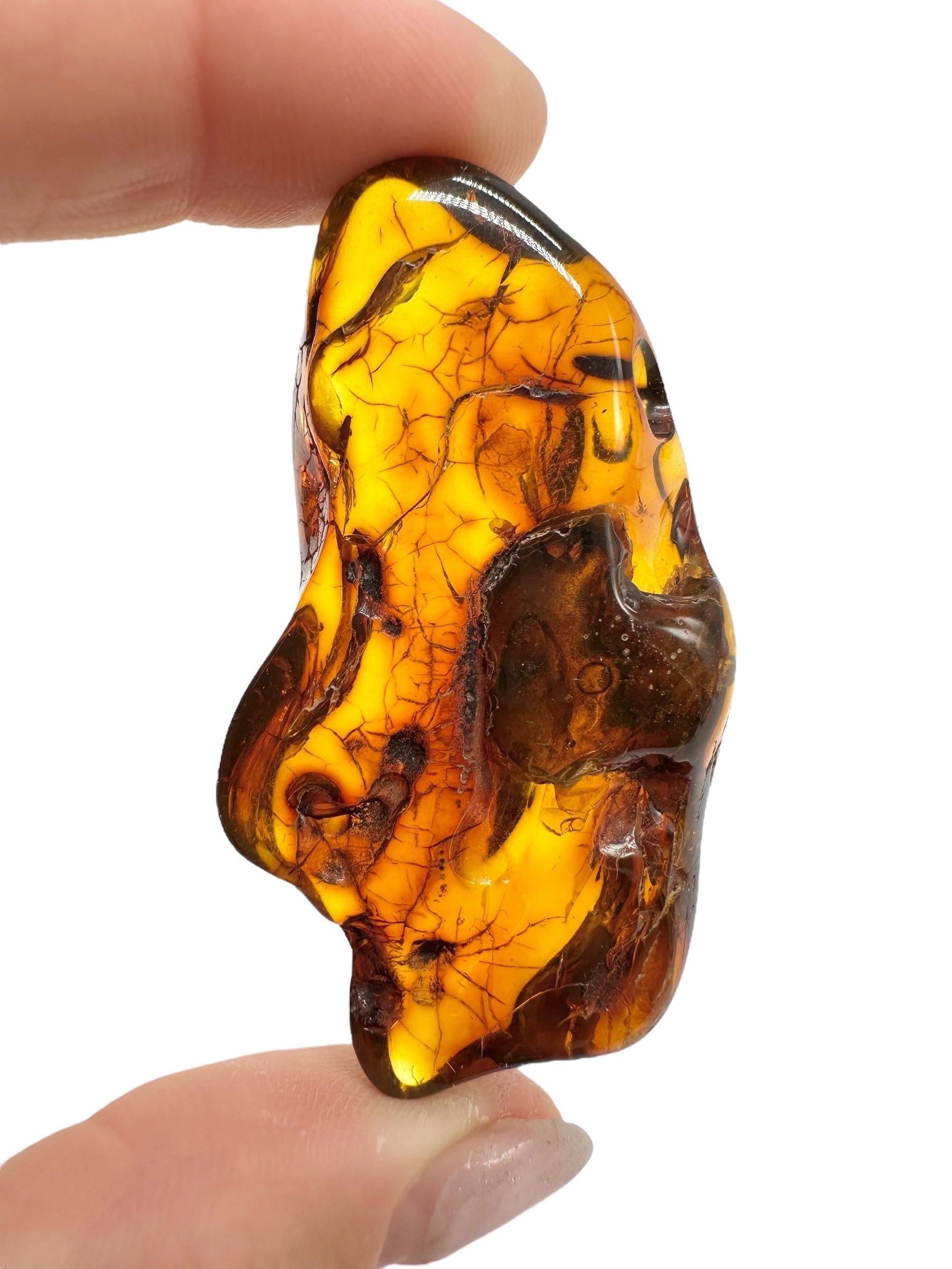Amber 12,8g – Lithuania - JN473