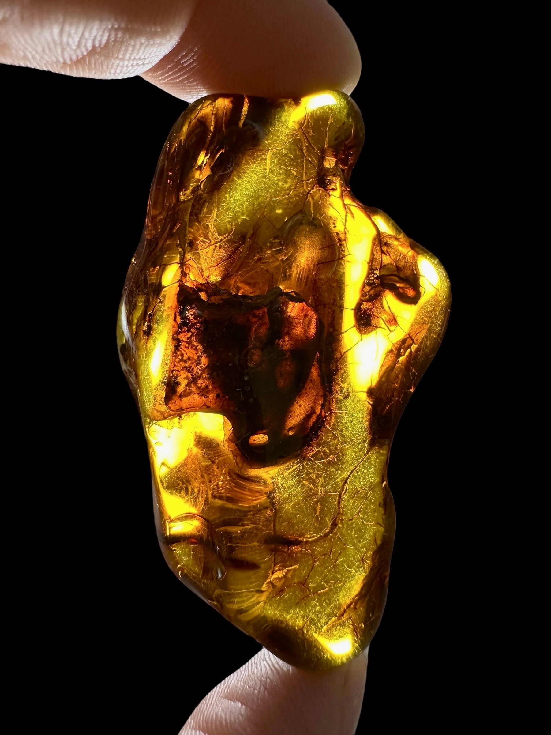 Amber 12,8g – Lithuania - JN473