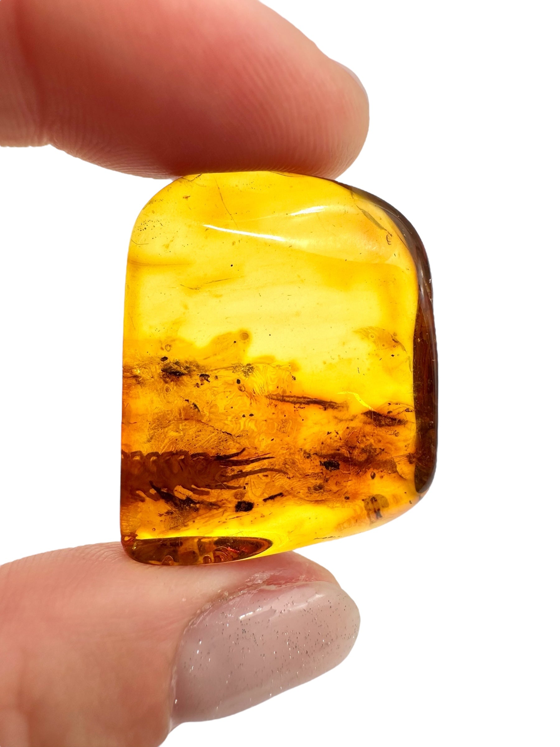 Insects in amber 4g – Lithuania - IJ117