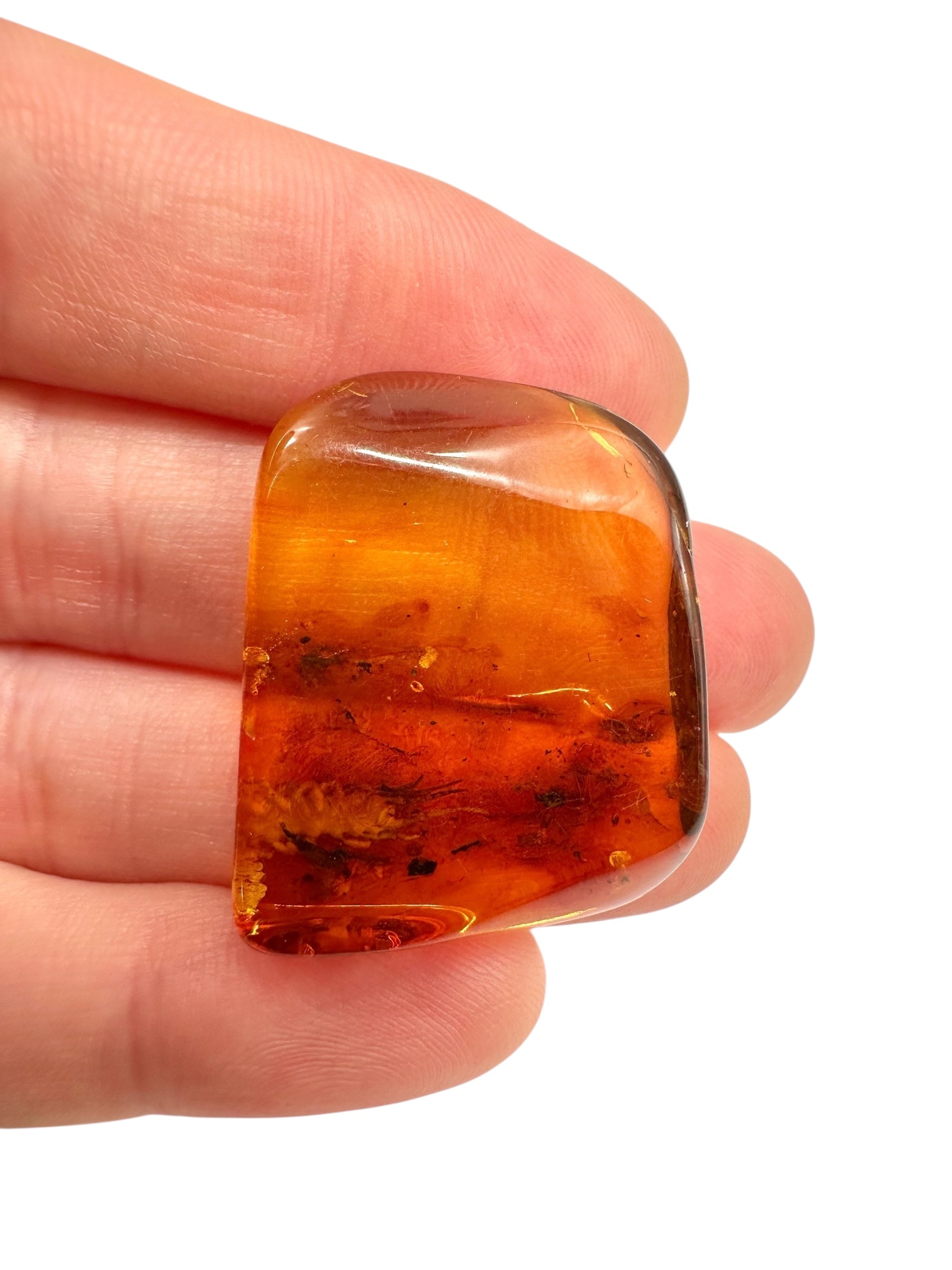 Insects in amber 4g – Lithuania - IJ117