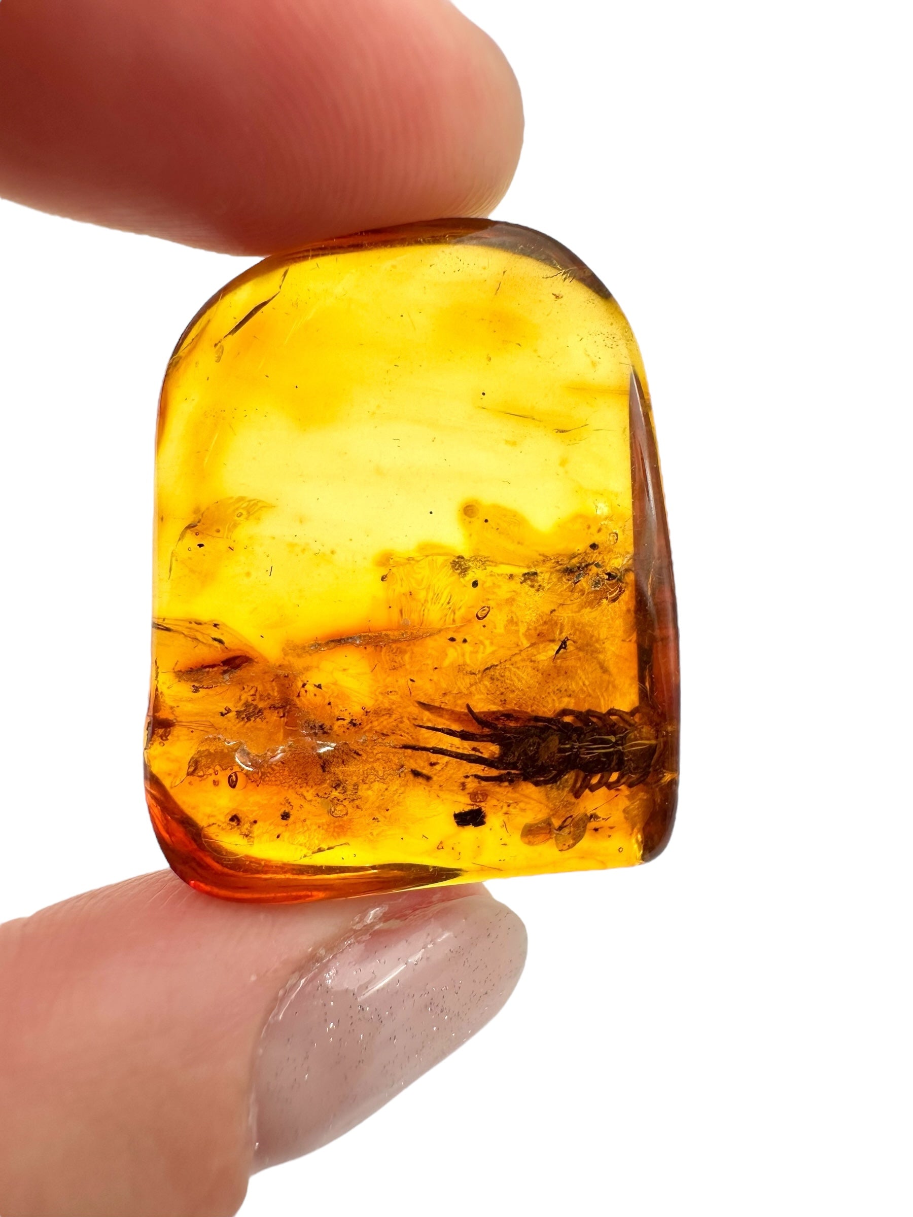 Insects in amber 4g – Lithuania - IJ117