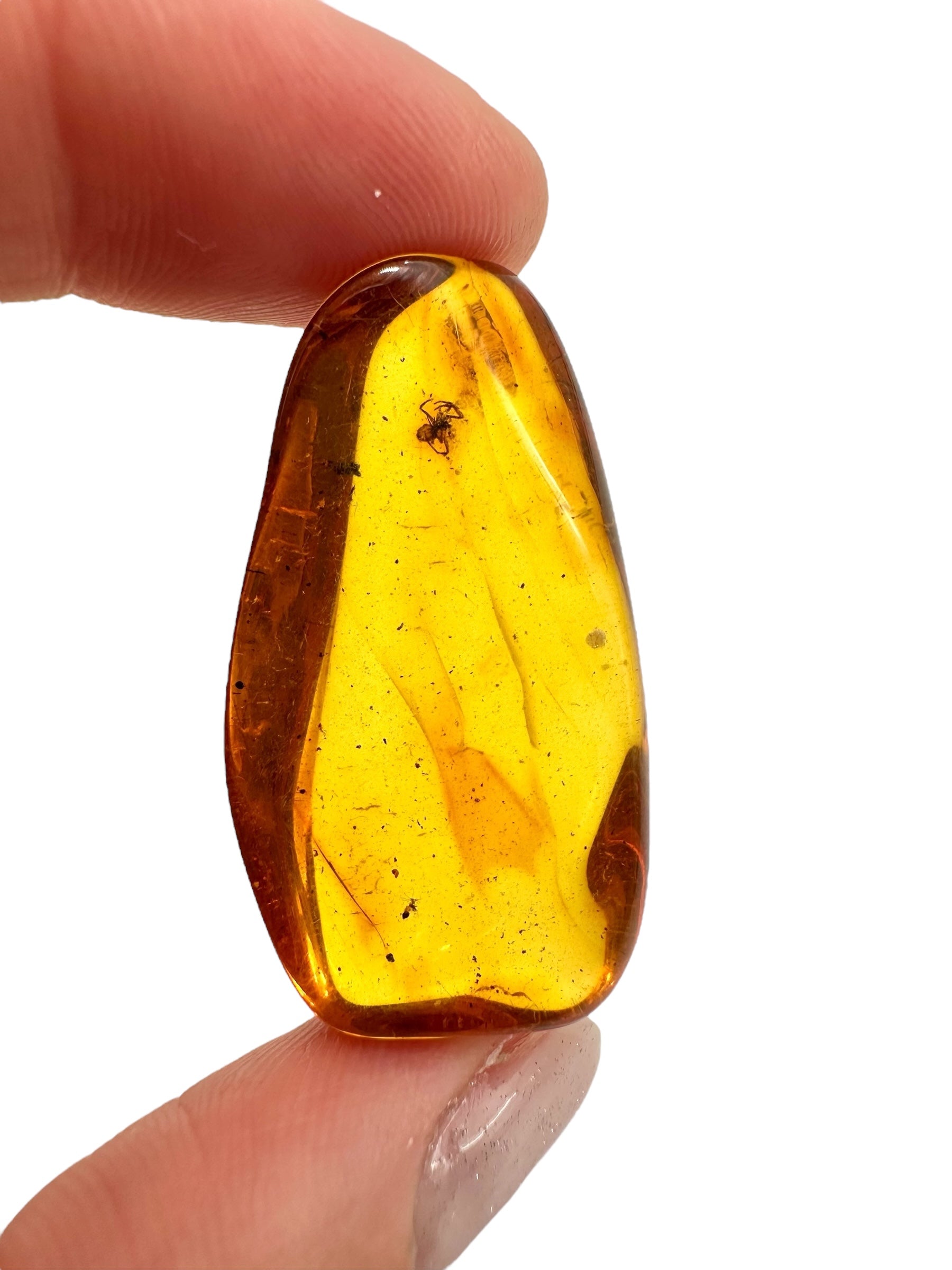 Insects in amber 5g – Lithuania - IJ118