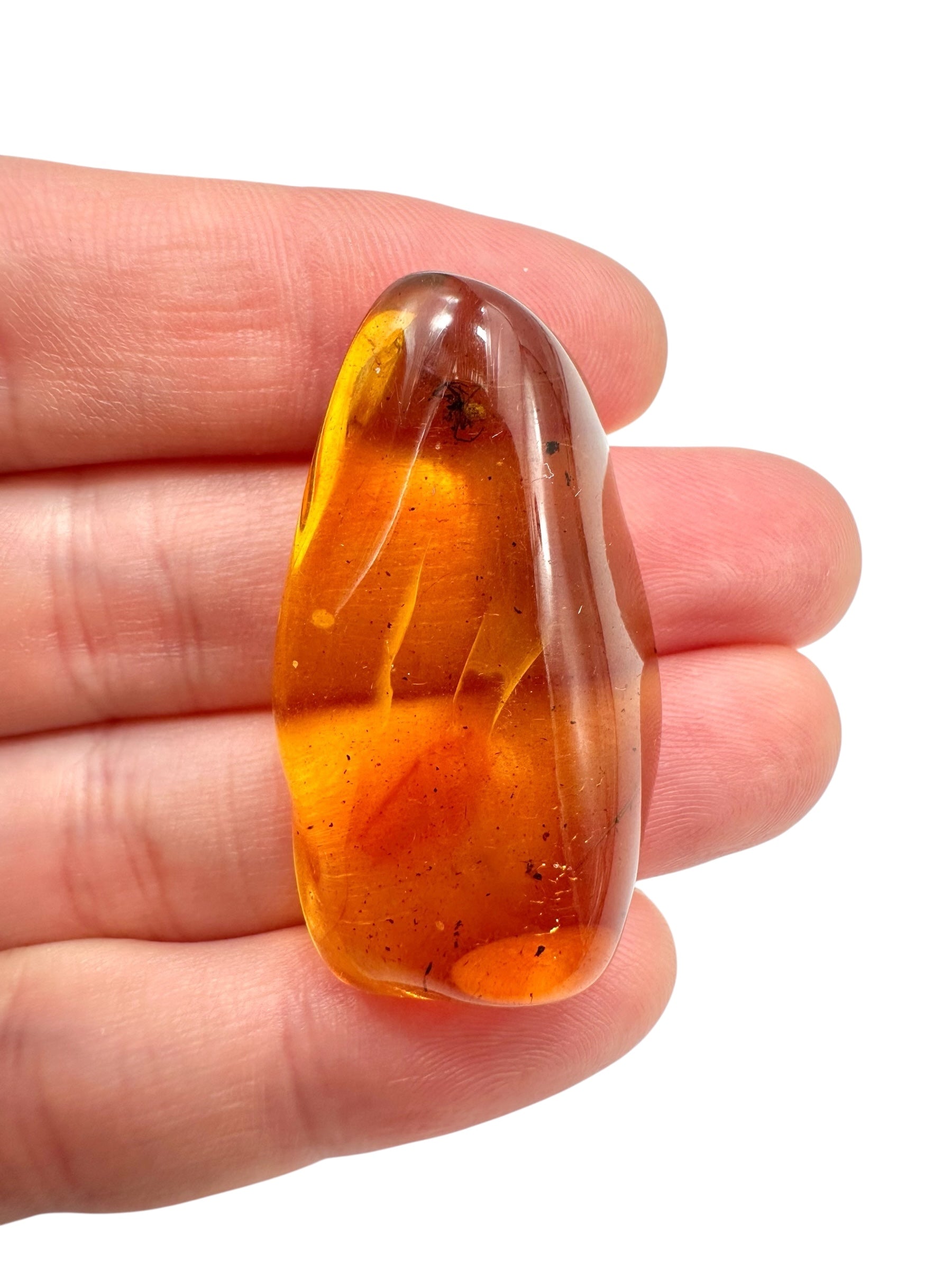 Insects in amber 5g – Lithuania - IJ118