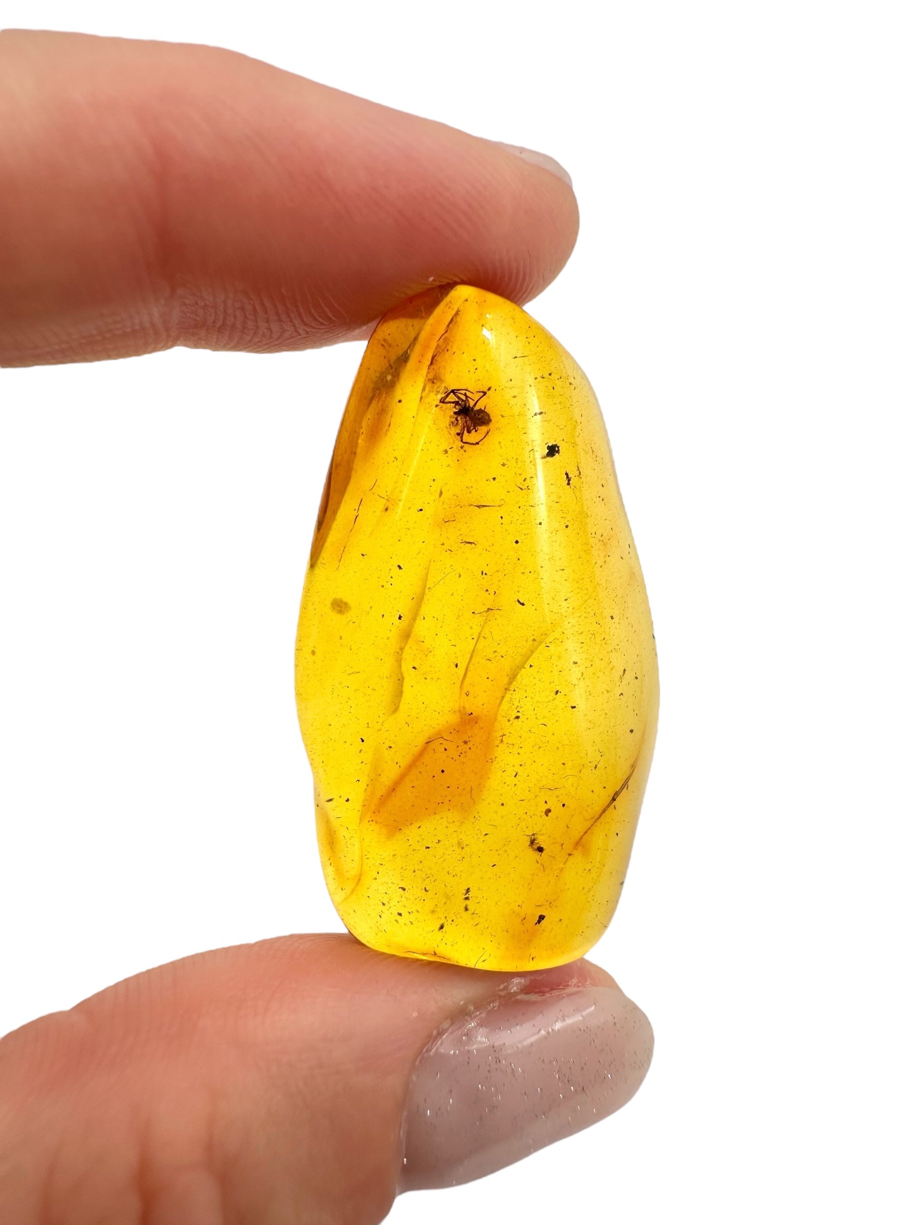 Insects in amber 5g – Lithuania - IJ118