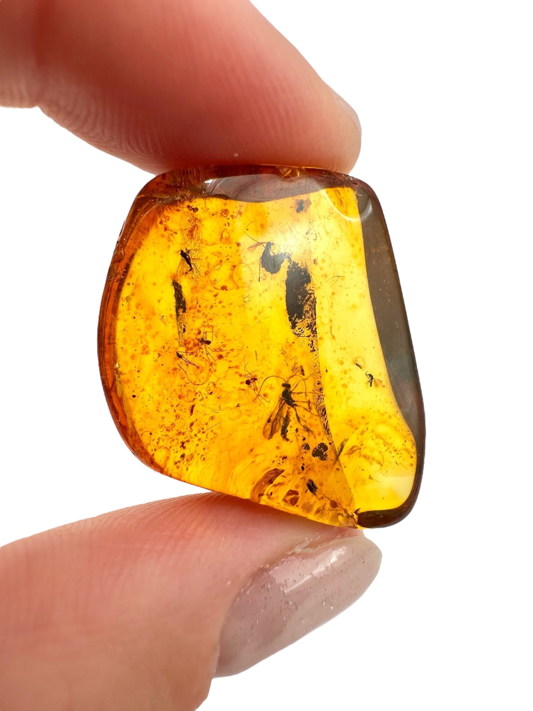 Insects in amber 3,8g – Lithuania - IJ119