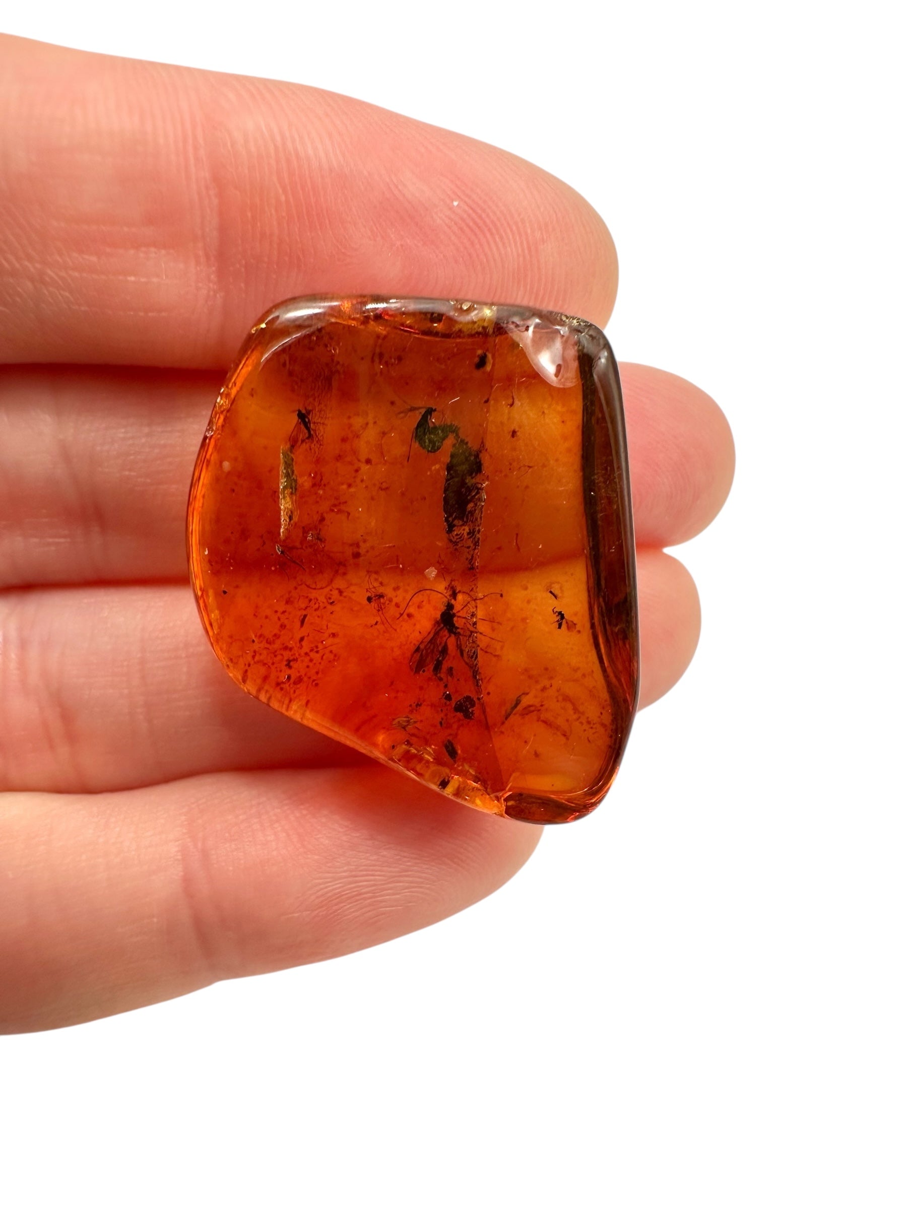 Insects in amber 3,8g – Lithuania - IJ119