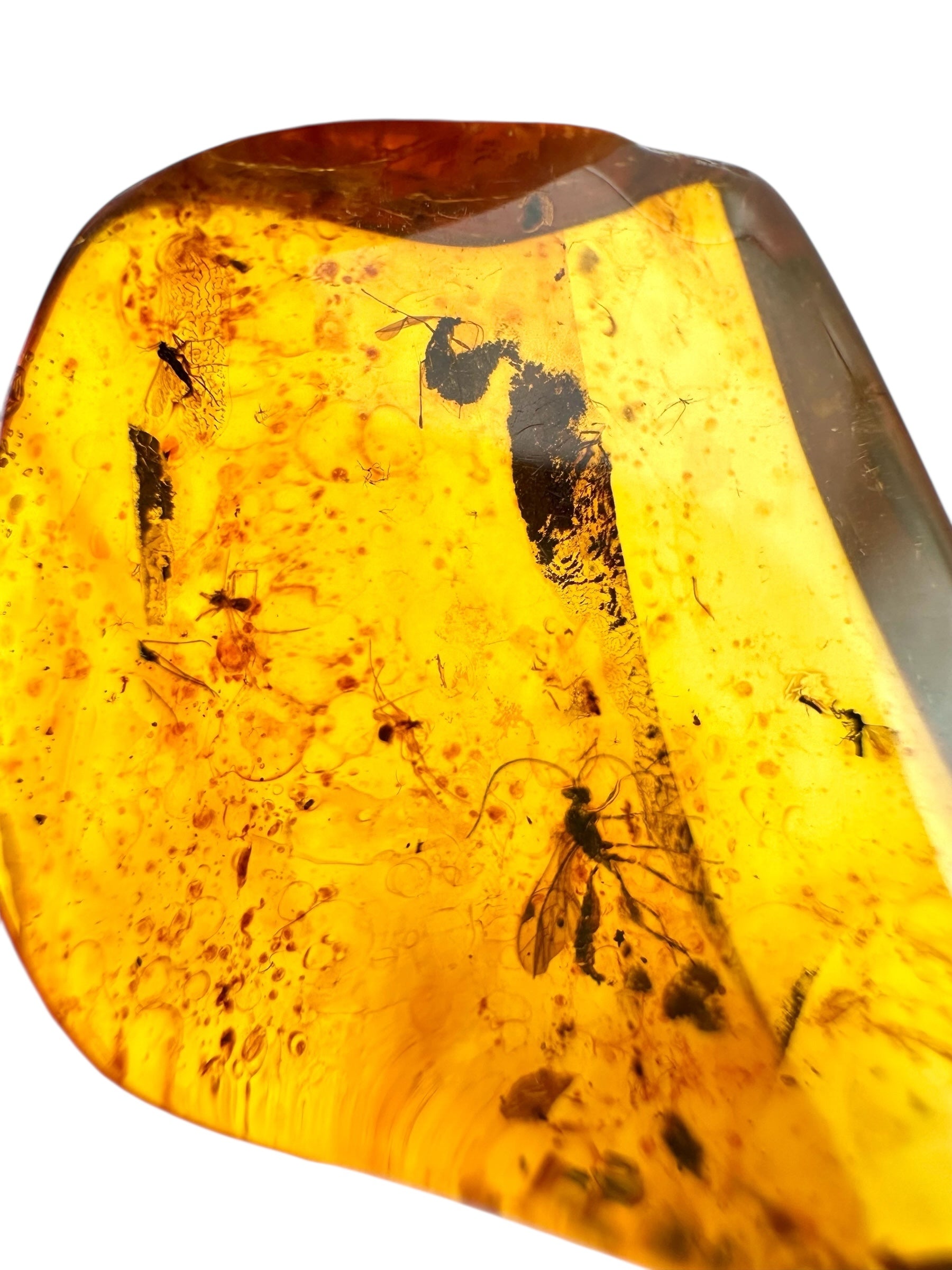 Insects in amber 3,8g – Lithuania - IJ119