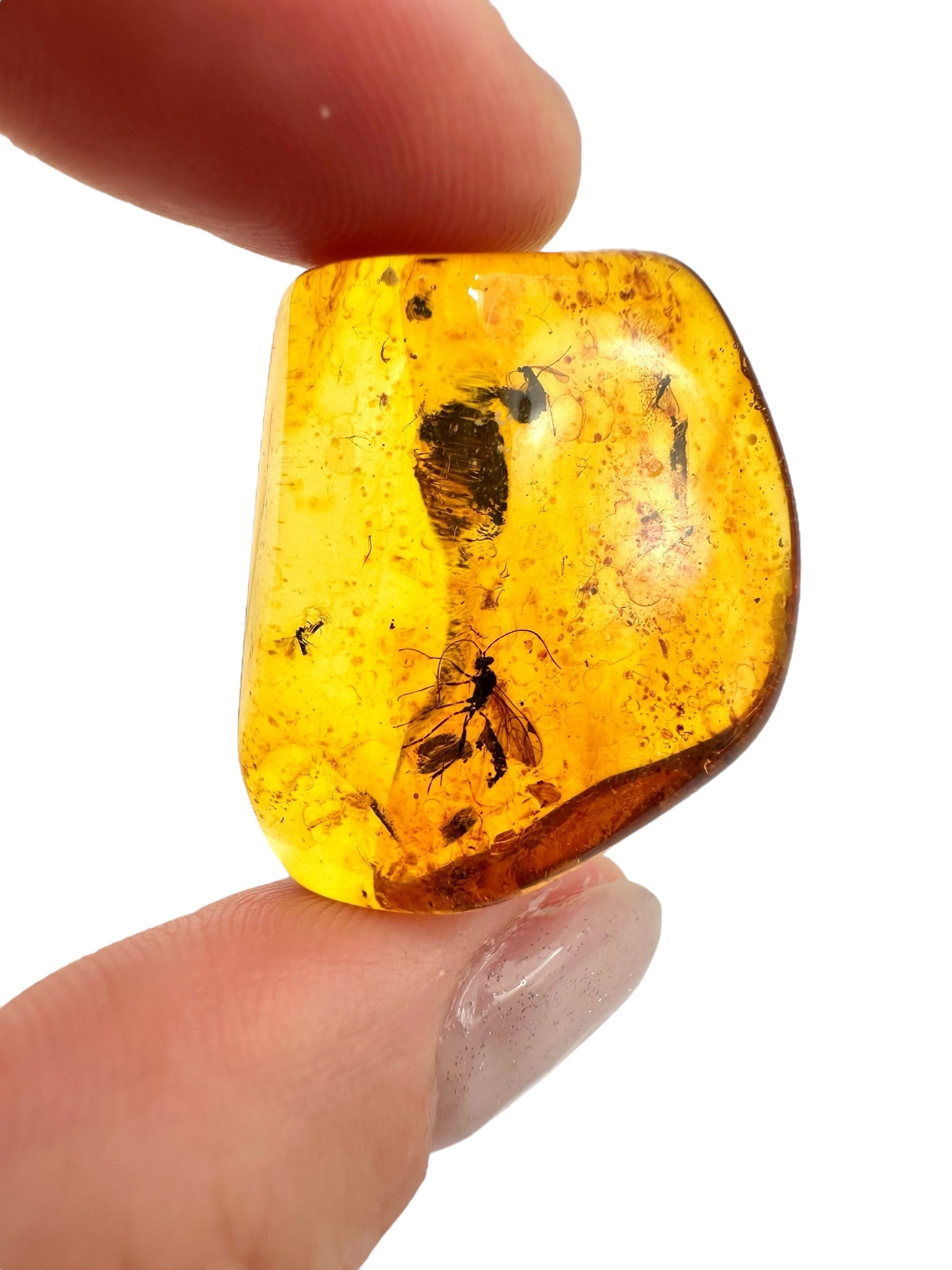 Insects in amber 3,8g – Lithuania