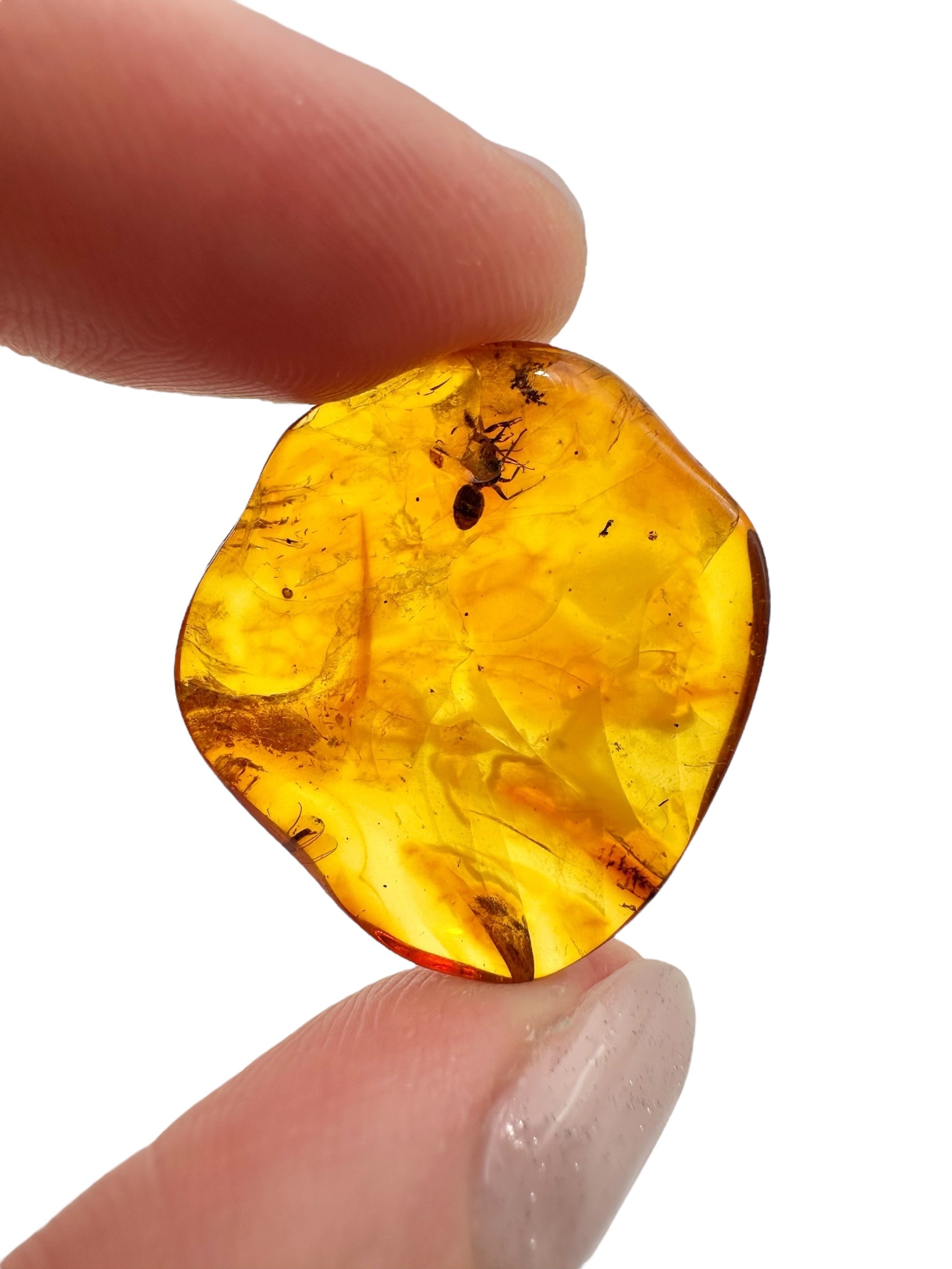 Insects in amber 1,8g – Lithuania - IJ121