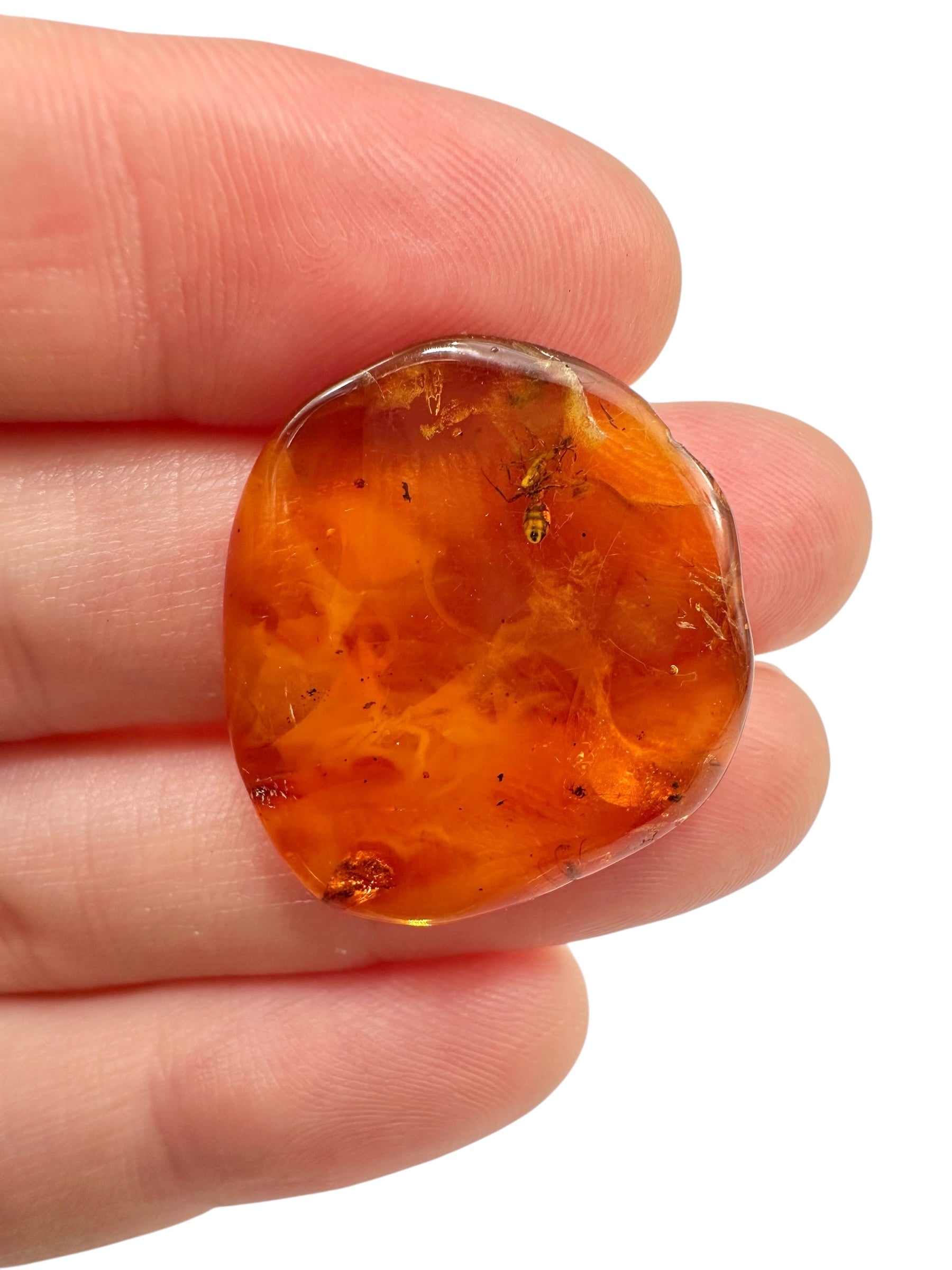 Insects in amber 1,8g – Lithuania - IJ121