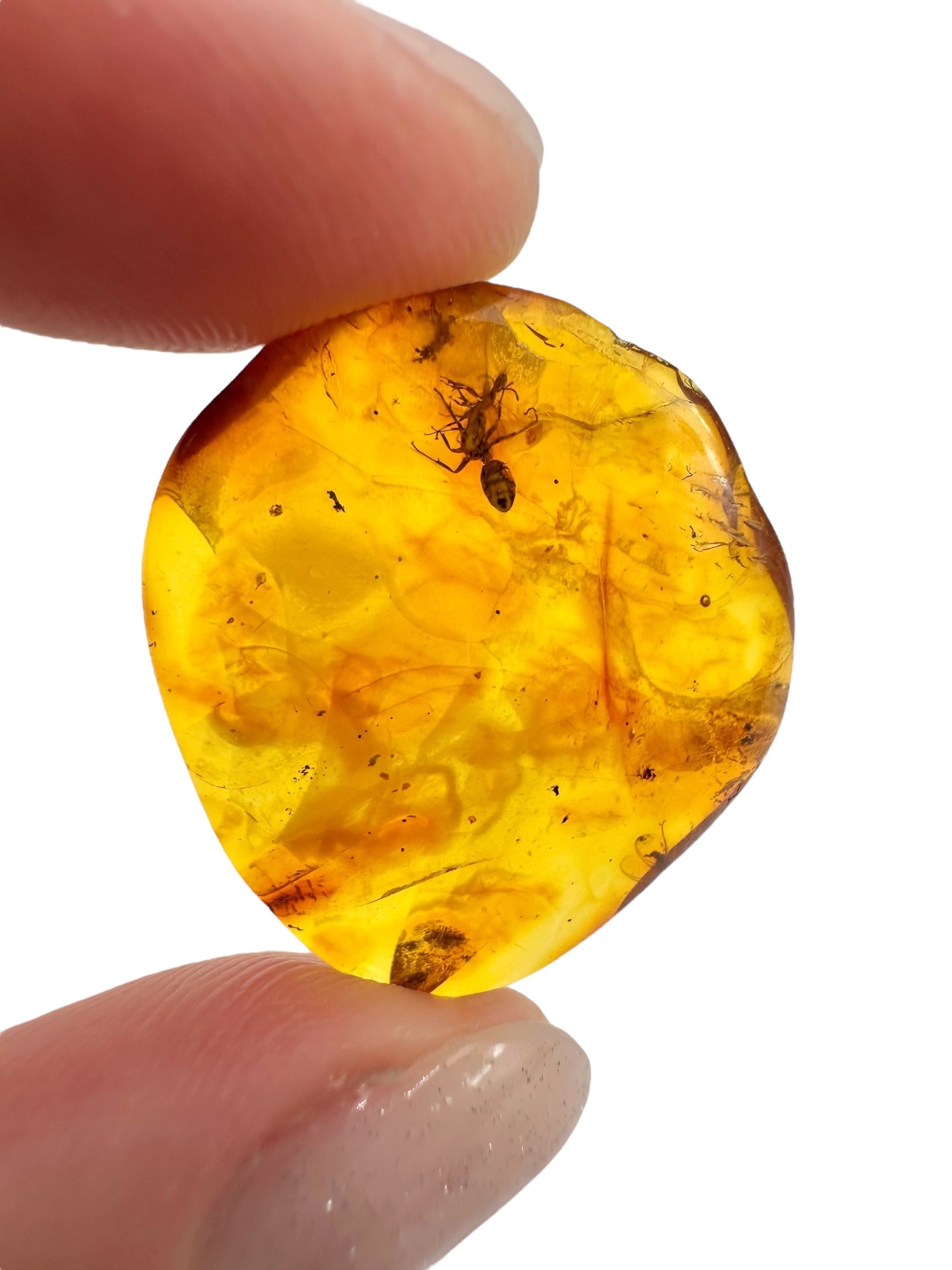 Insects in amber 1,8g – Lithuania