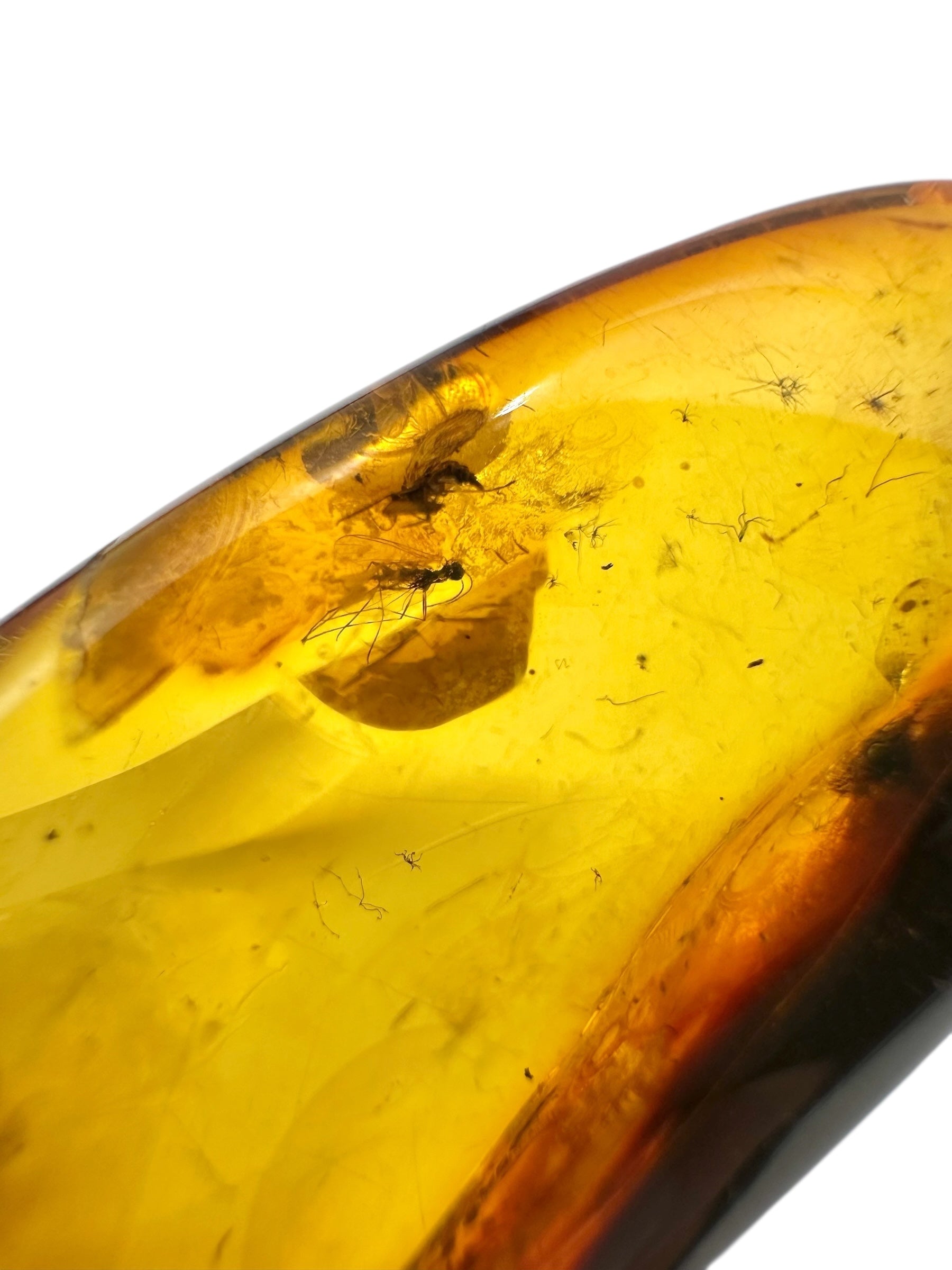 Insects in amber 9,8g – Lithuania - IJ122