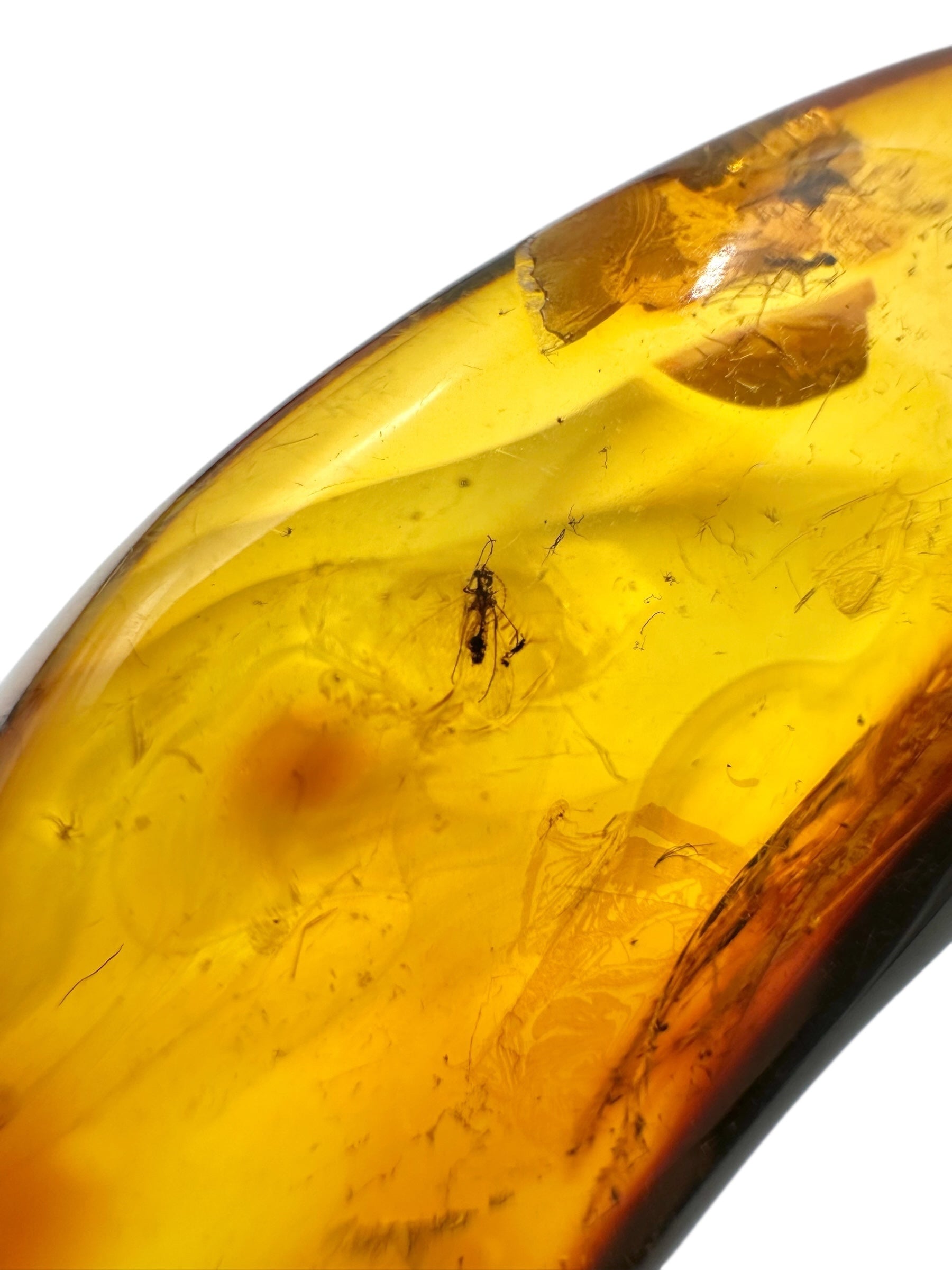 Insects in amber 9,8g – Lithuania - IJ122