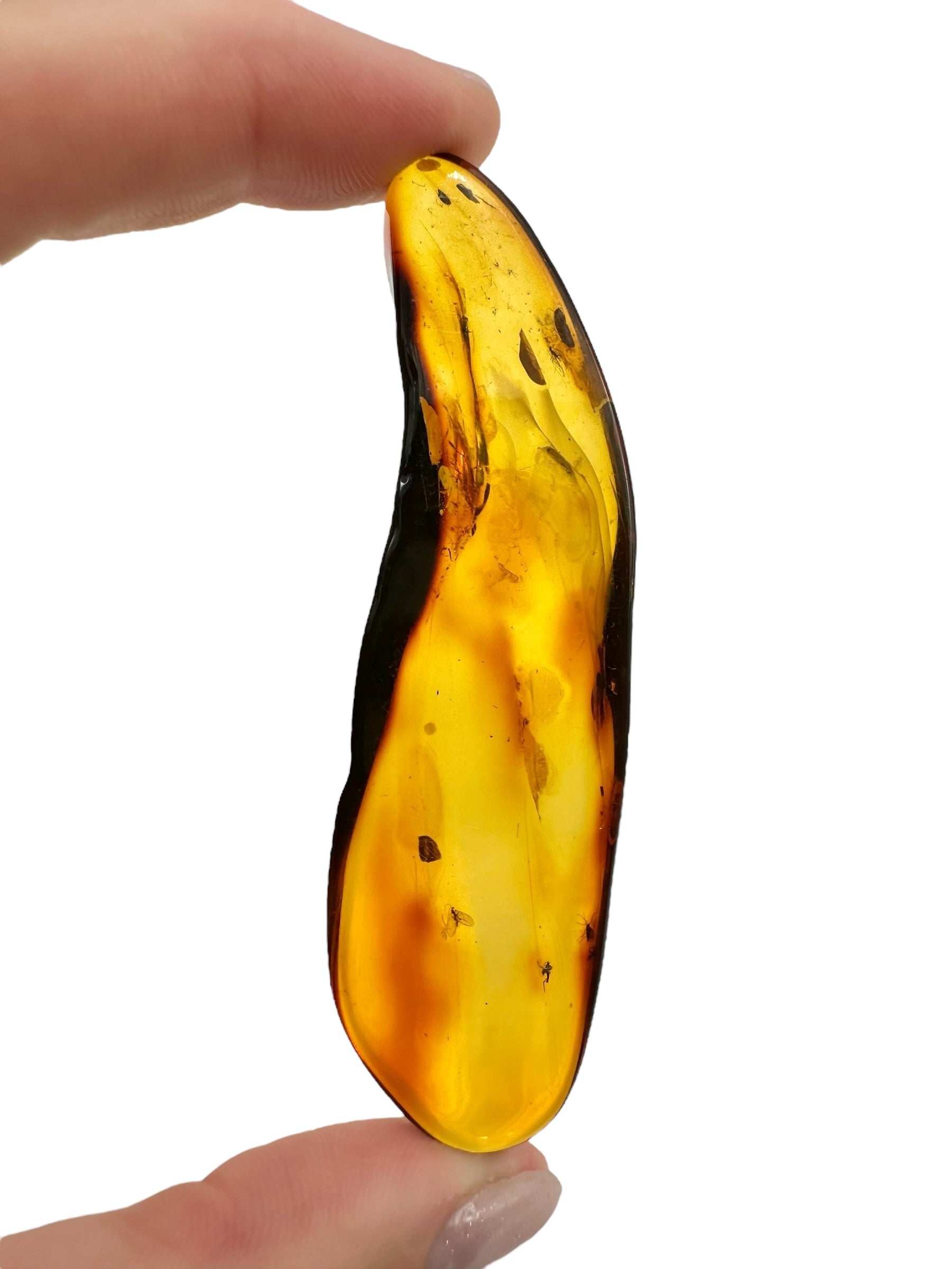 Insects in amber 9,8g – Lithuania - IJ122