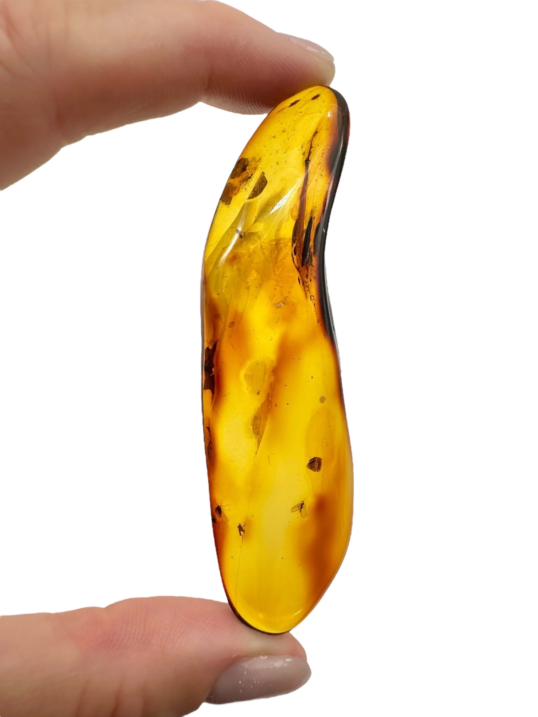 Insects in amber 9,8g – Lithuania - IJ122