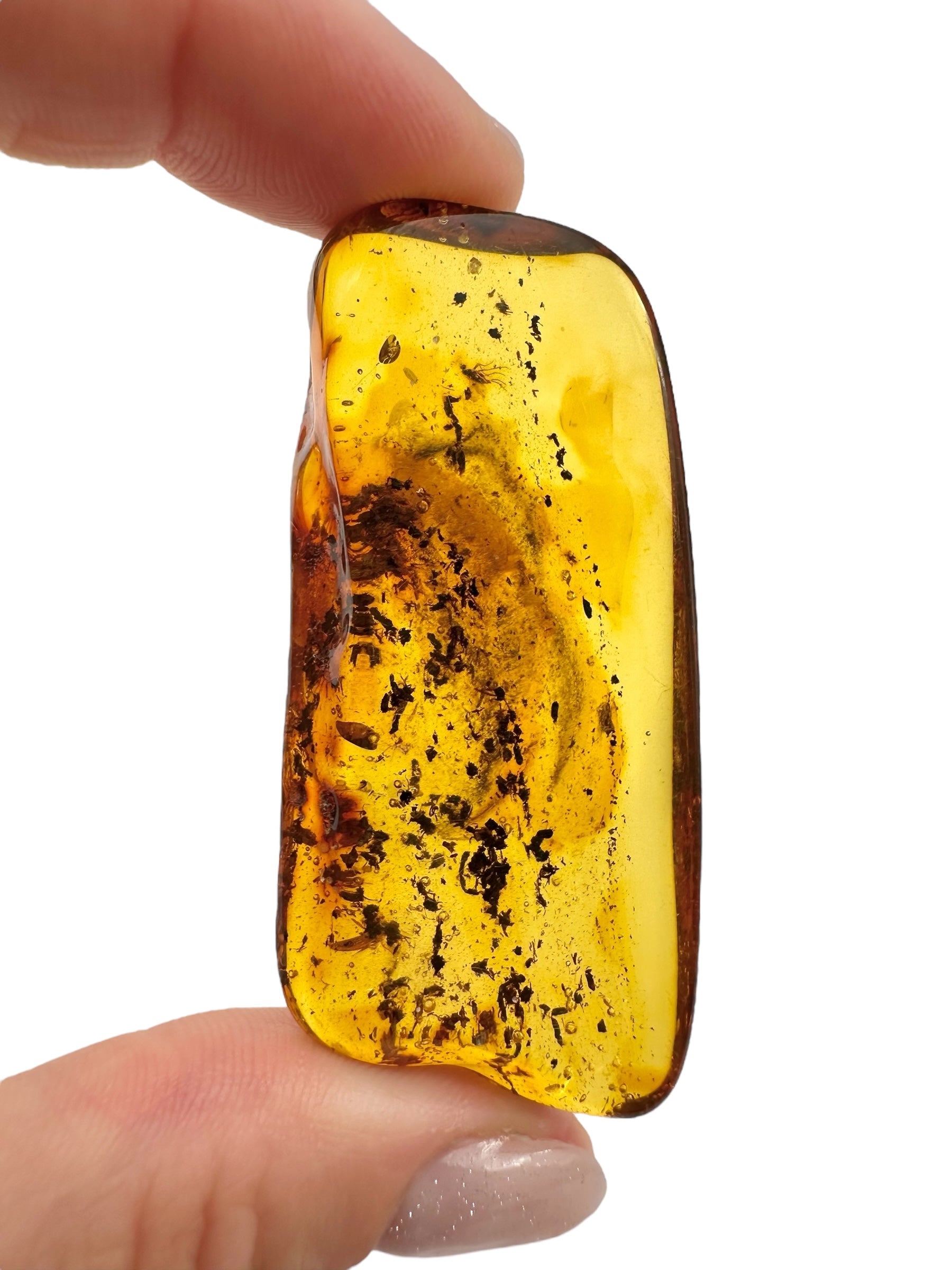Insects in amber 11,1g – Lithuania - IJ124