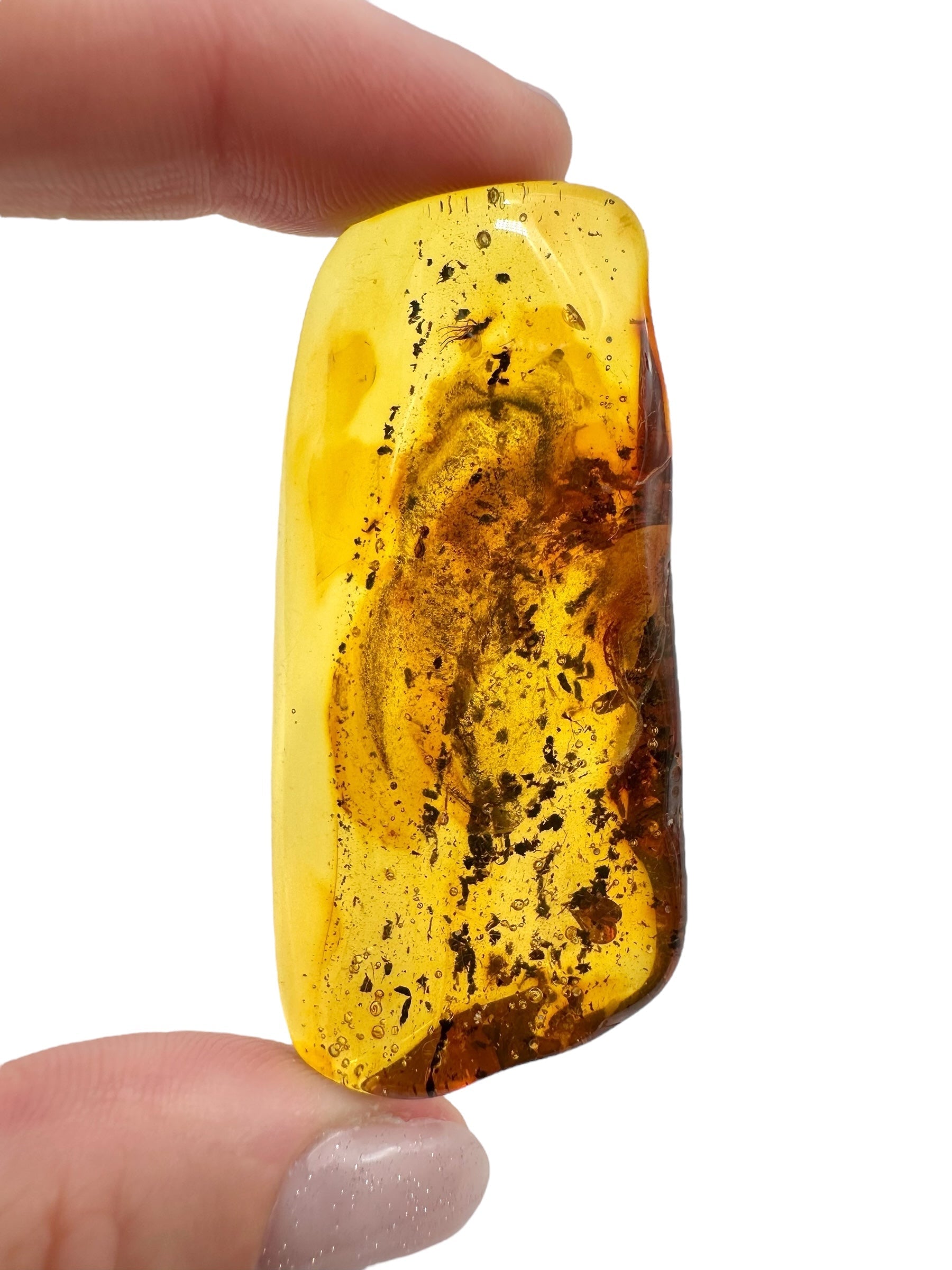 Insects in amber 11,1g – Lithuania - IJ124