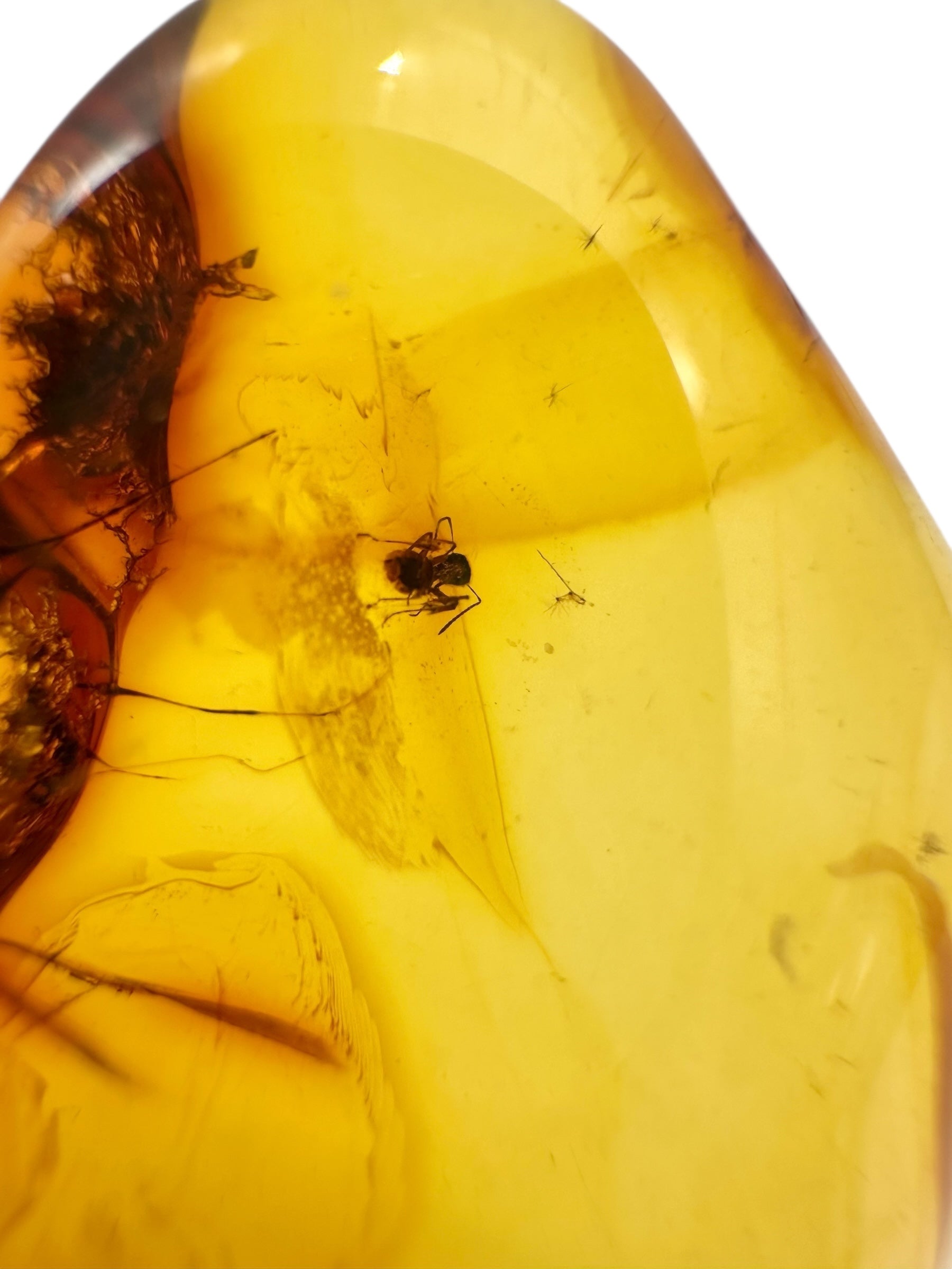 Insects in amber 9,7g – Lithuania - IJ125