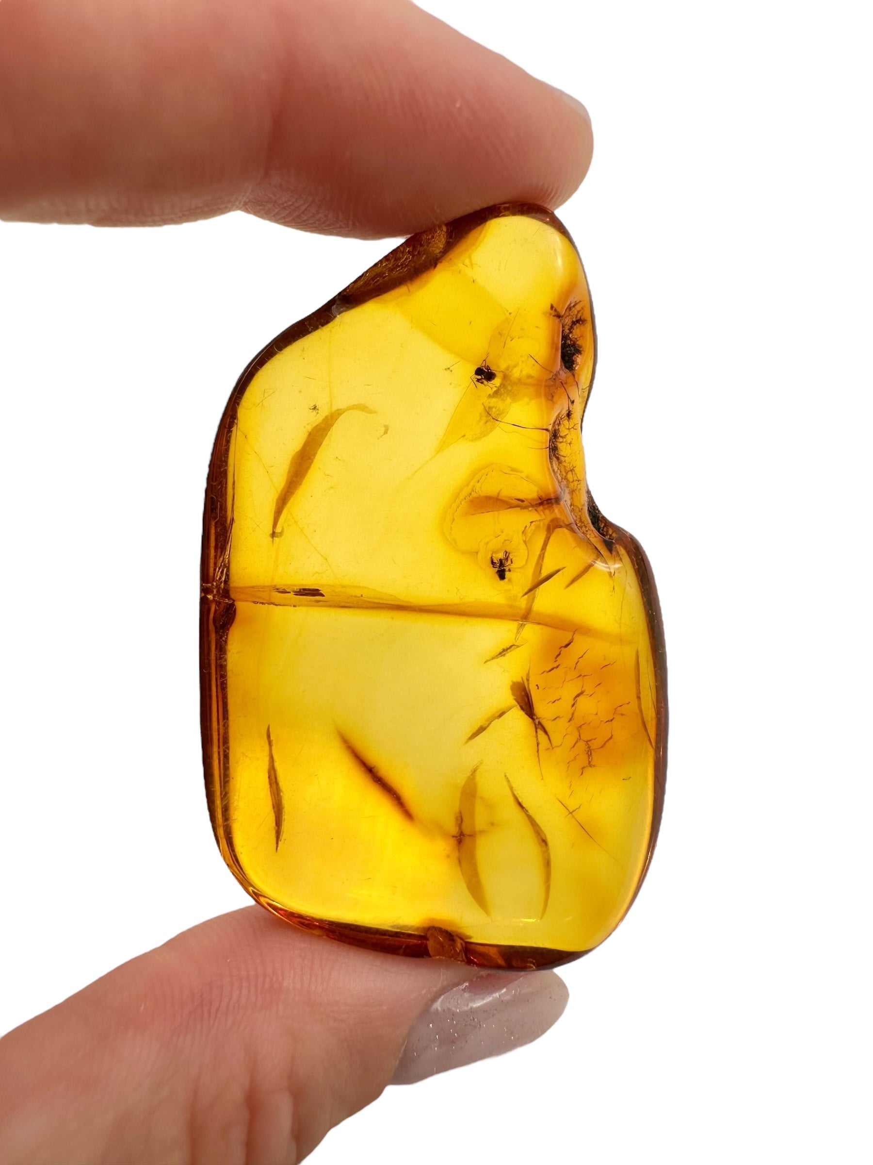 Insects in amber 9,7g – Lithuania - IJ125