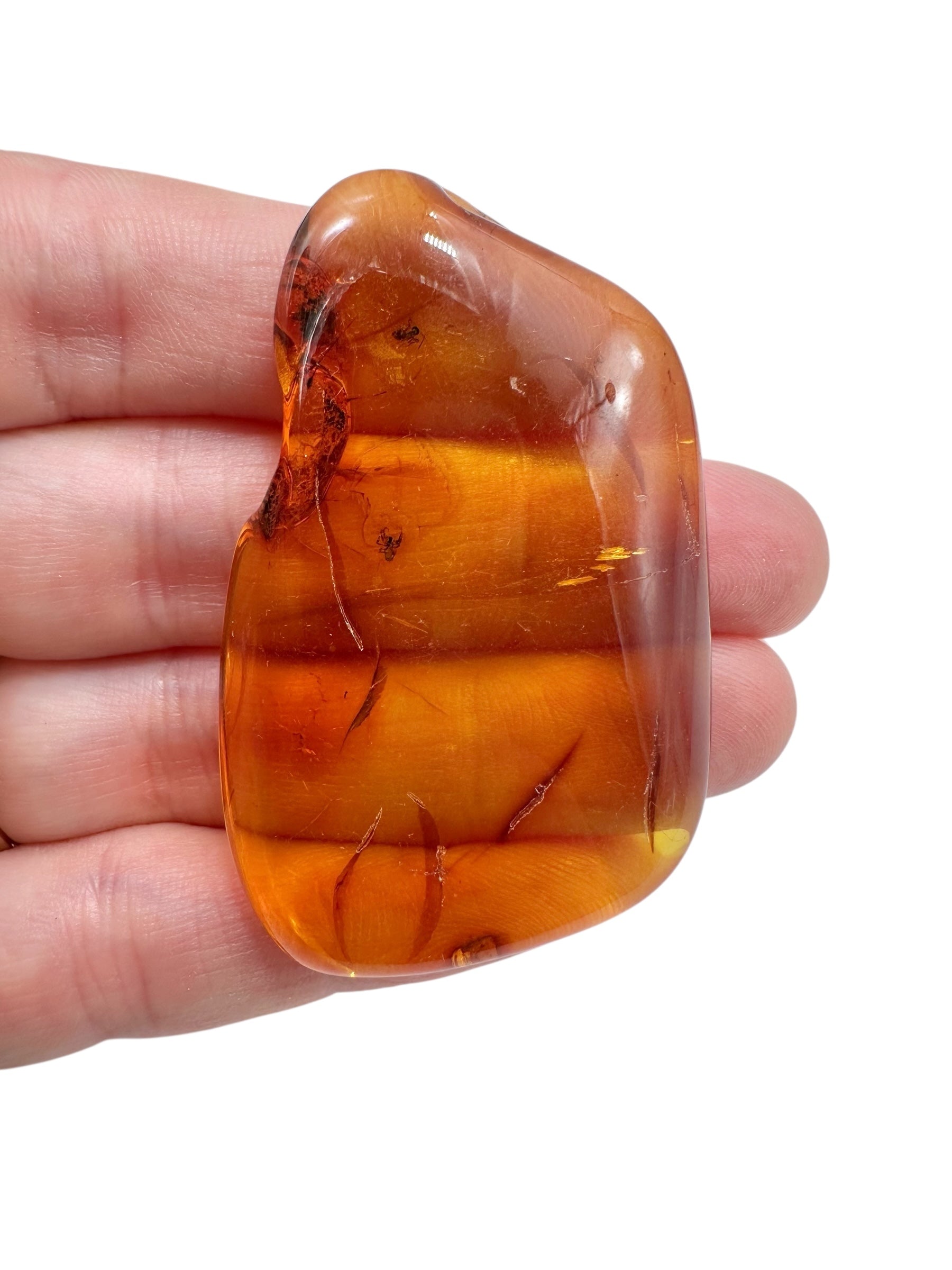 Insects in amber 9,7g – Lithuania - IJ125
