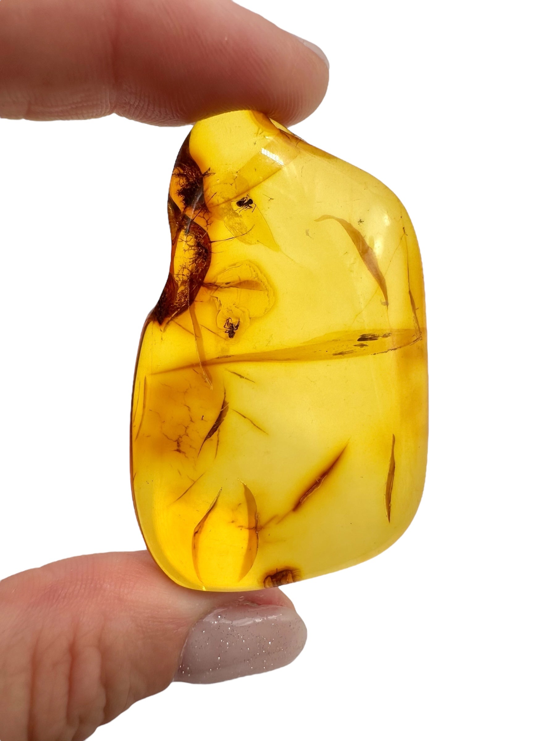 Insects in amber 9,7g – Lithuania