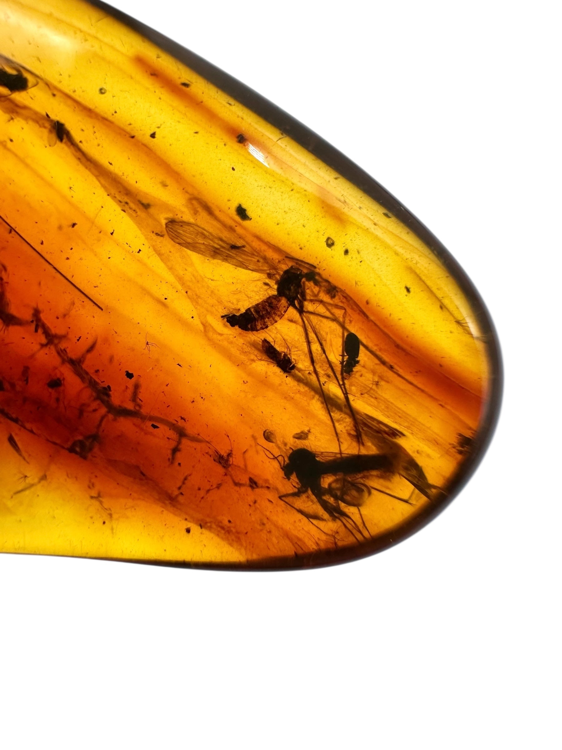 Insects in amber 3,1g – Lithuania - IJ126