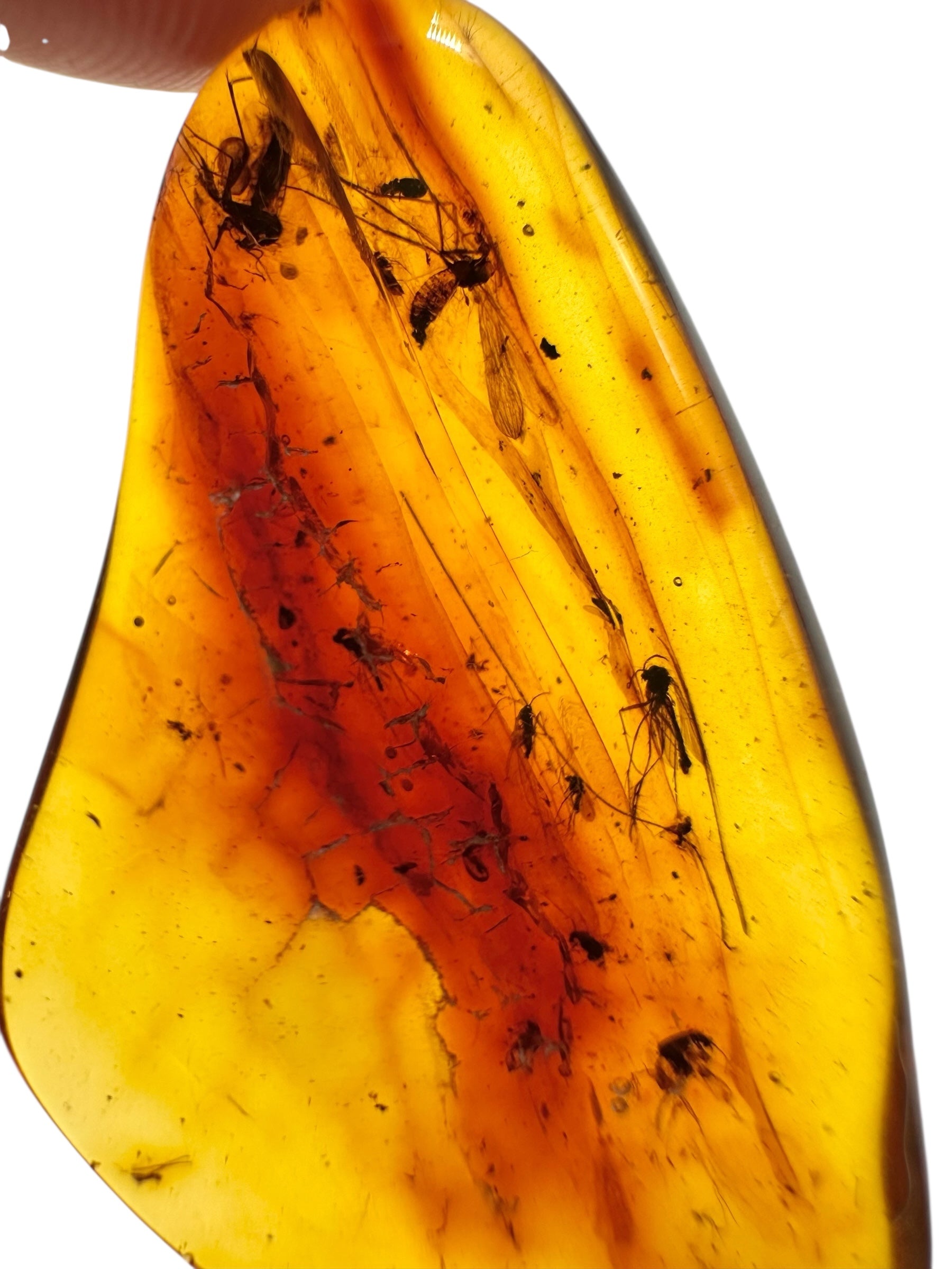 Insects in amber 3,1g – Lithuania - IJ126