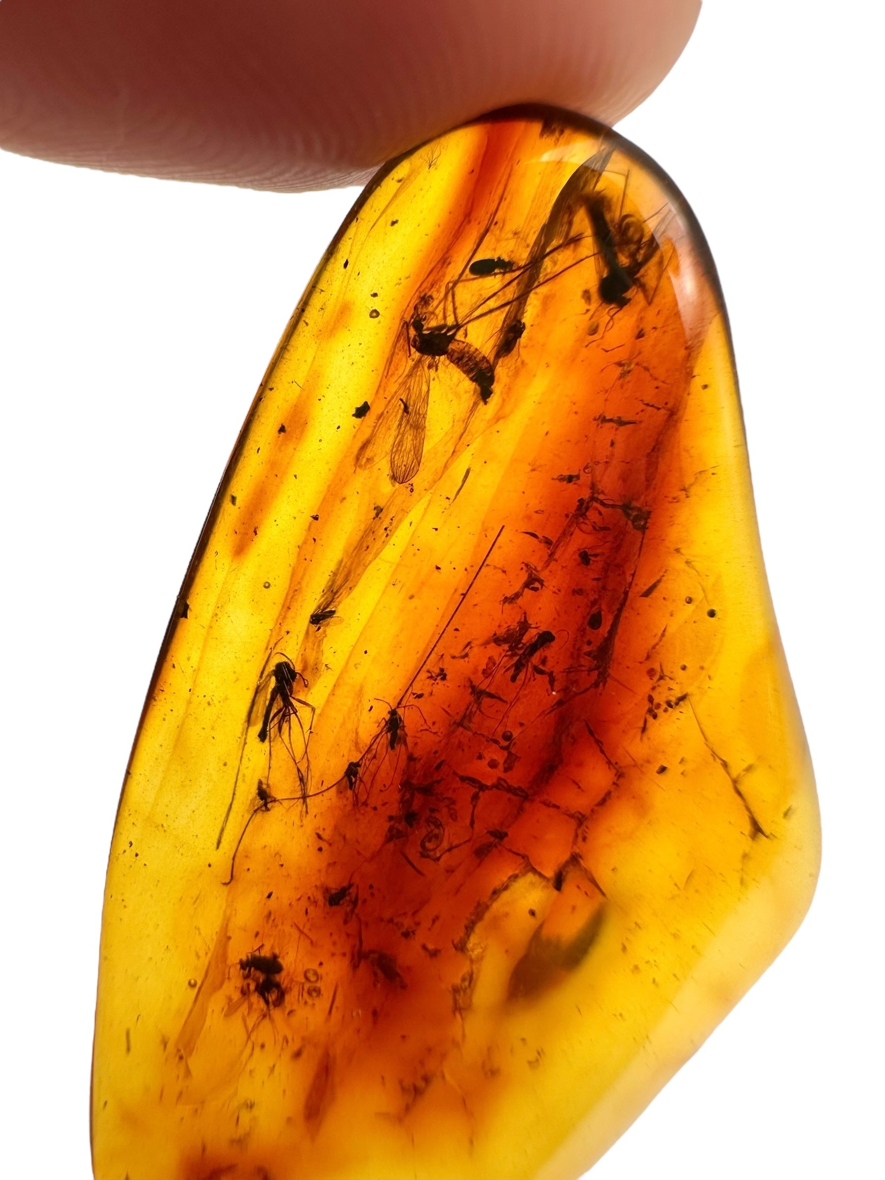 Insects in amber 3,1g – Lithuania - IJ126