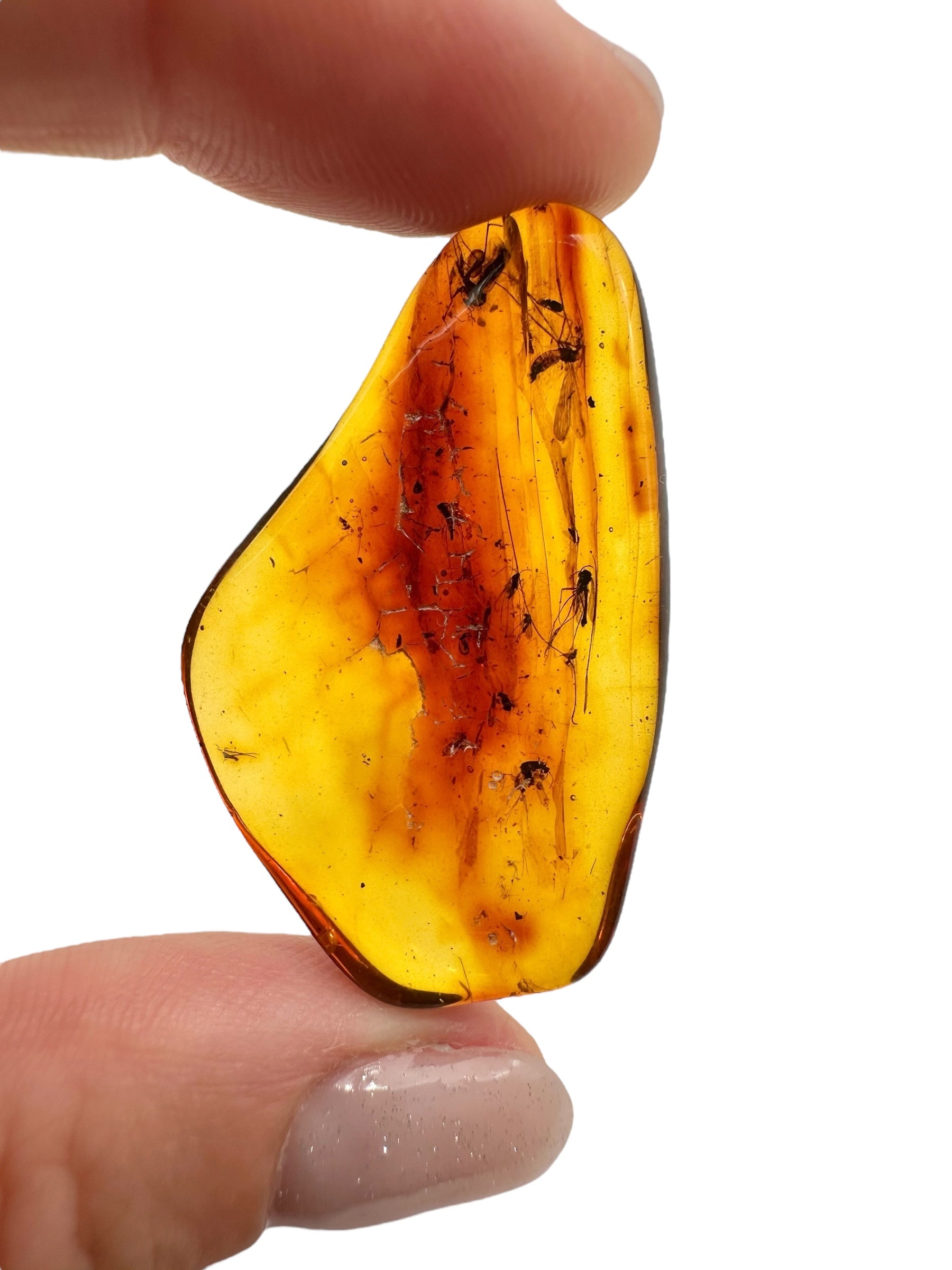 Insects in amber 3,1g – Lithuania - IJ126