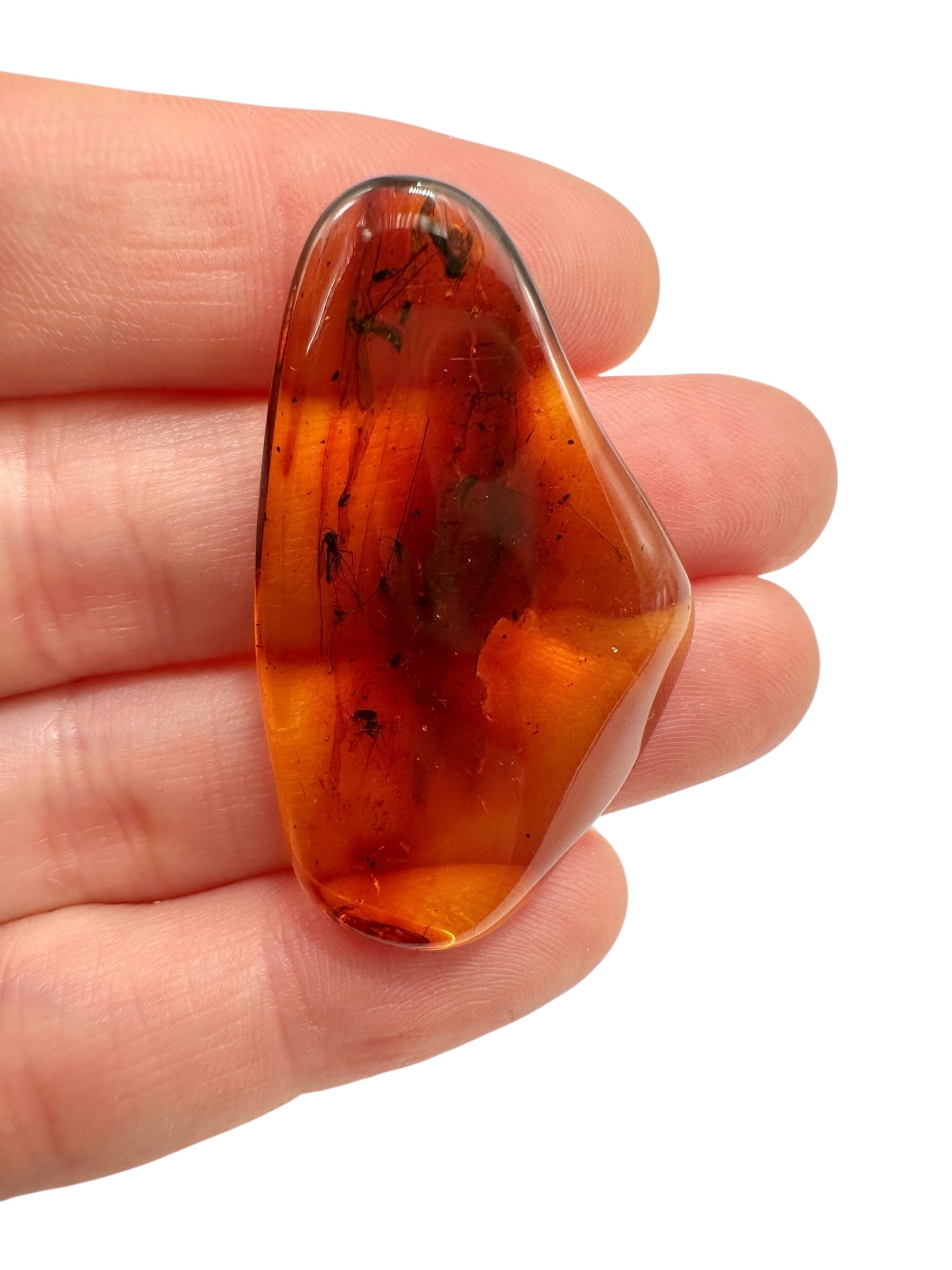 Insects in amber 3,1g – Lithuania - IJ126