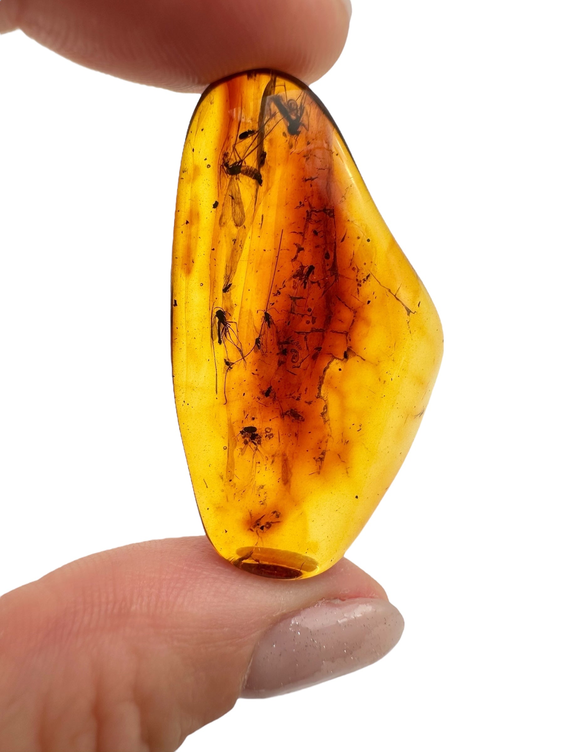 Insects in amber 3,1g – Lithuania