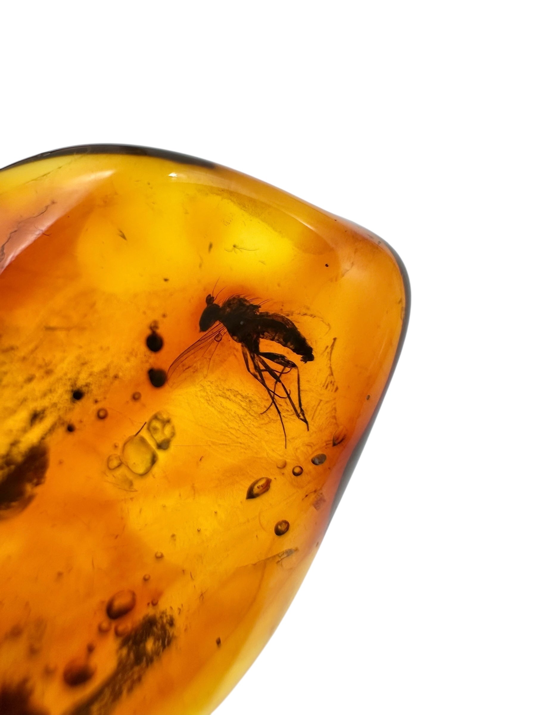 Insects in amber 2,7g – Lithuania - IJ128