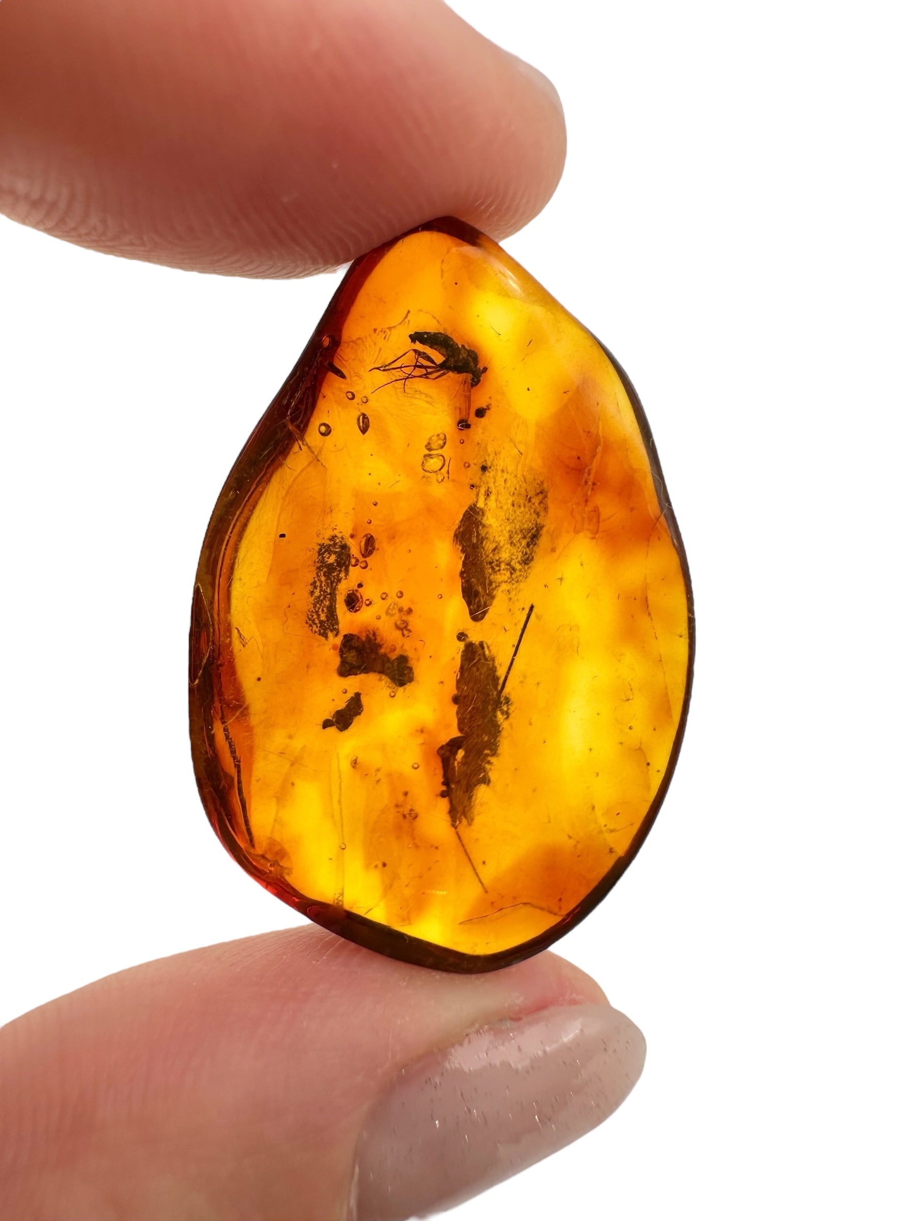 Insects in amber 2,7g – Lithuania - IJ128