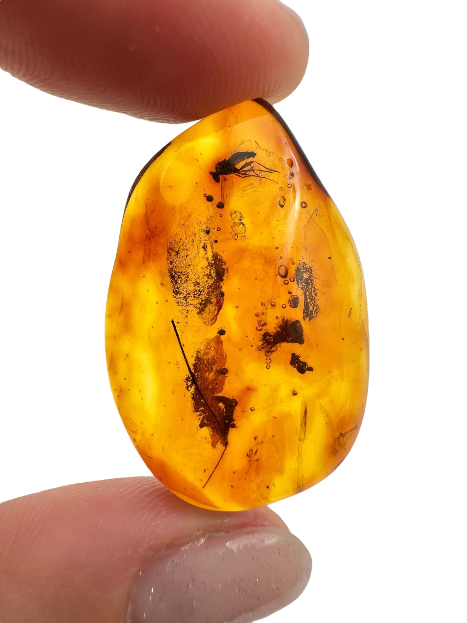 Insects in amber 2,7g – Lithuania