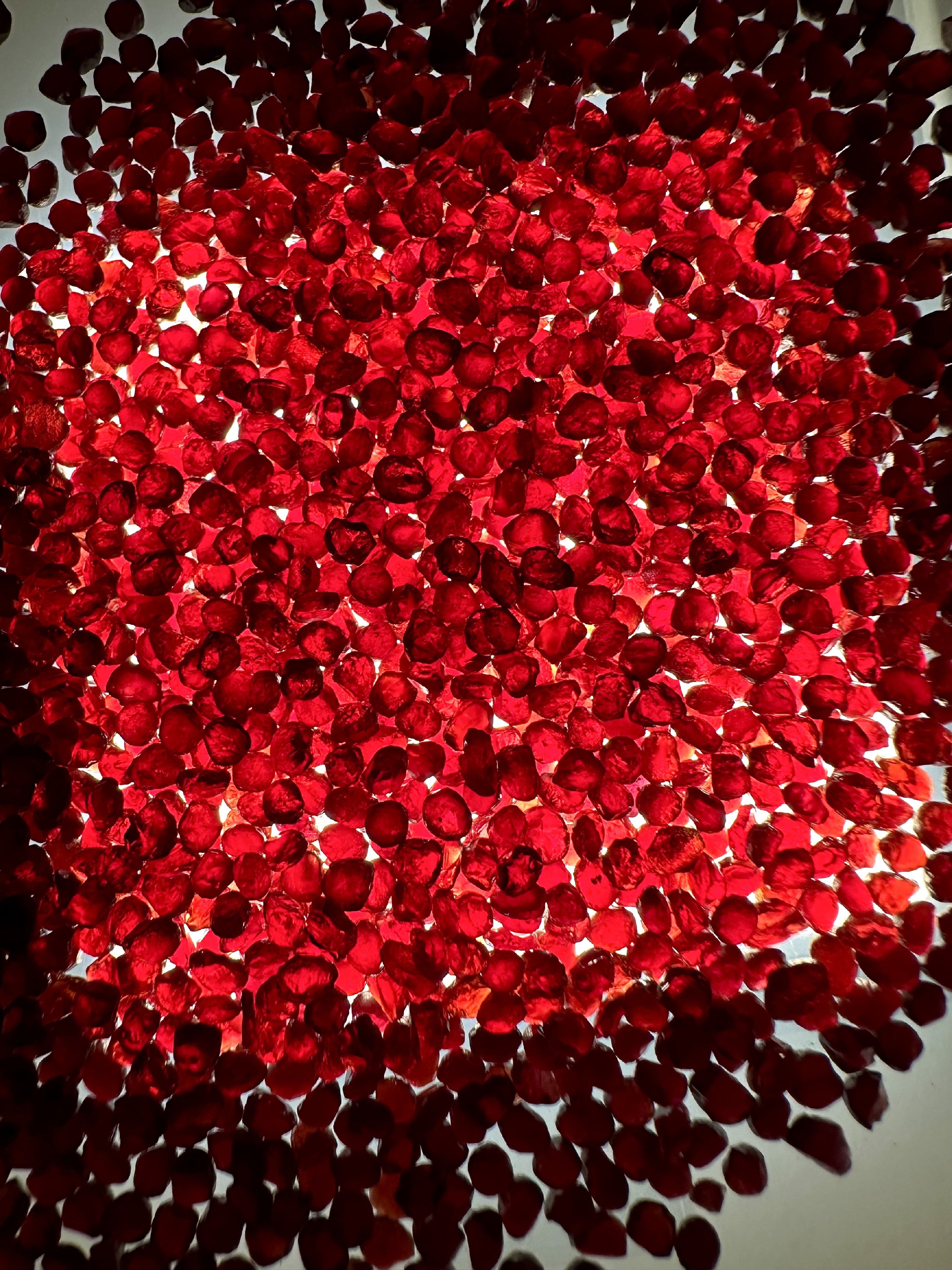 Czech Garnet 50g, 2,5-3mm – Ceske Stredohori, CZ - CG134