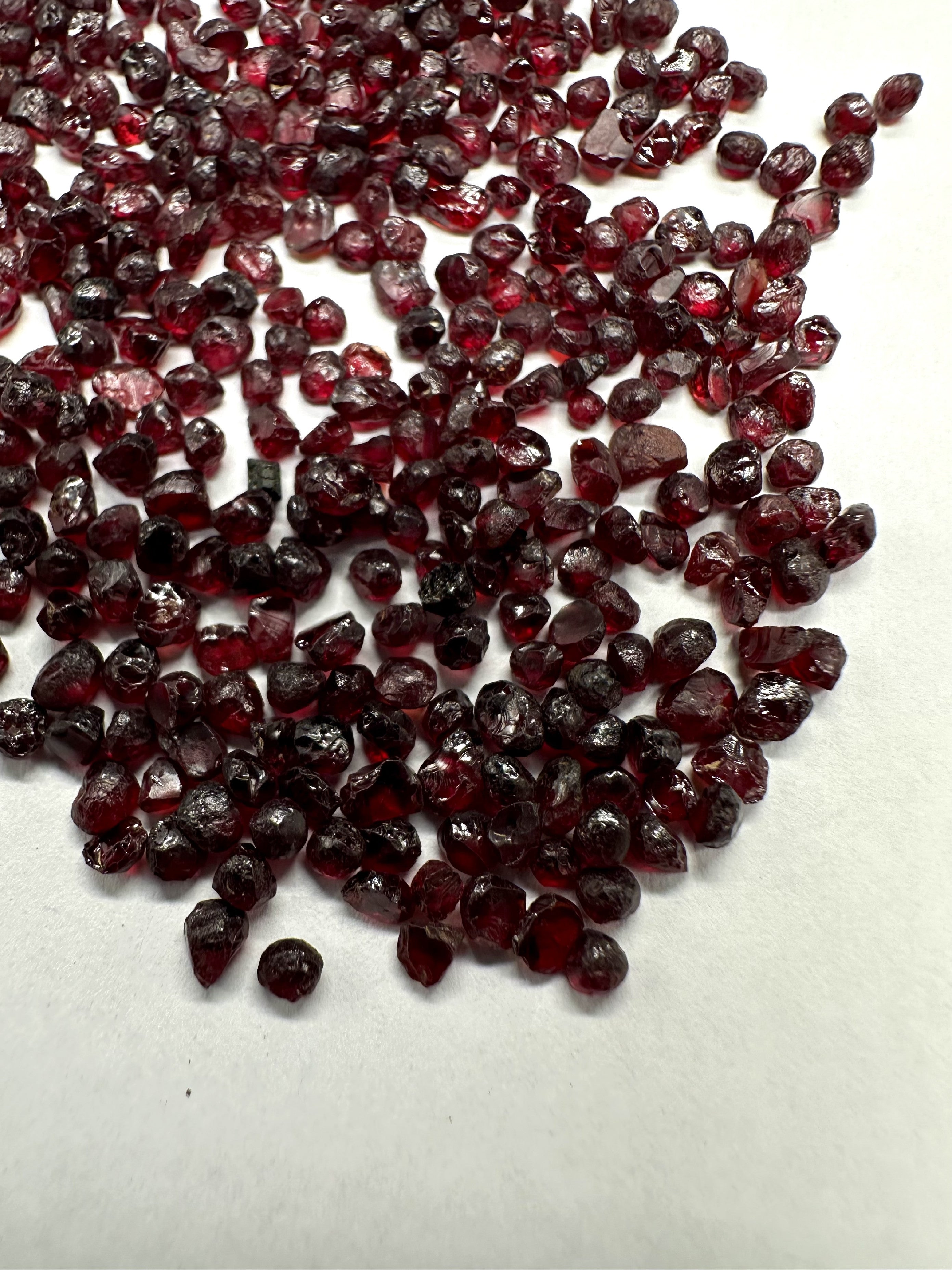Czech Garnet 10g, 2-3mm – Ceske Stredohori, CZ - CG135