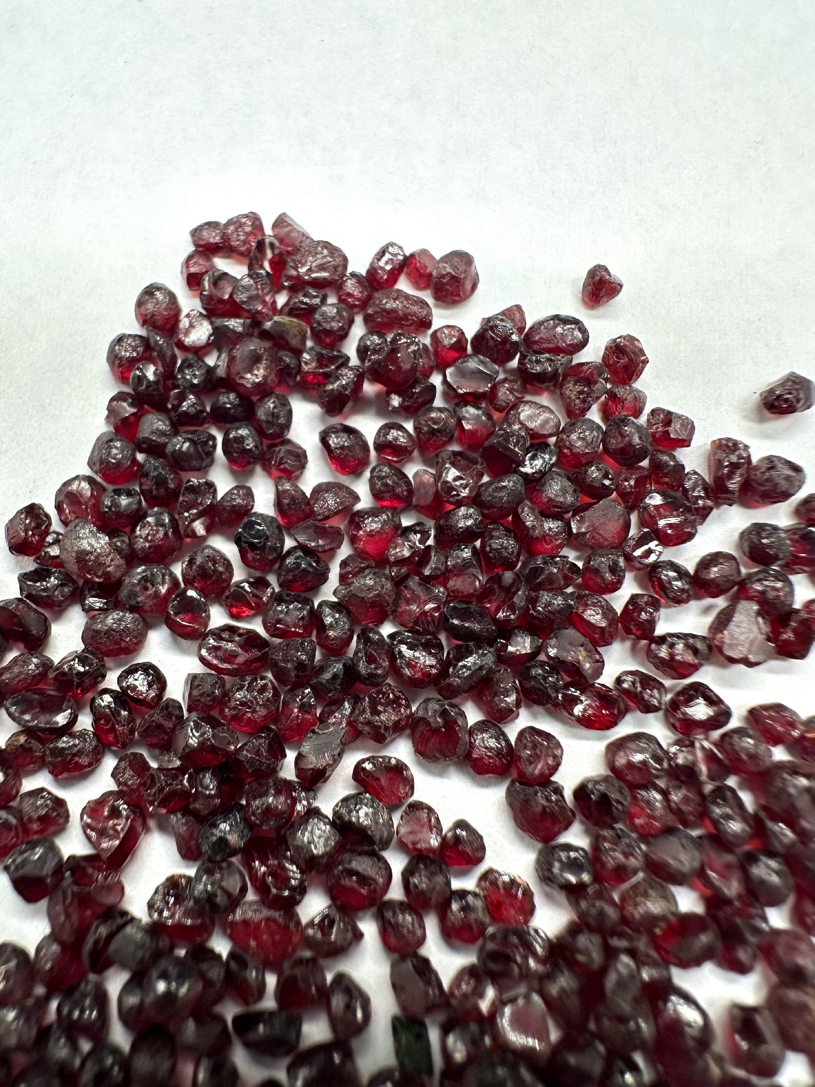 Czech Garnet 10g, 2-3mm – Ceske Stredohori, CZ - CG135