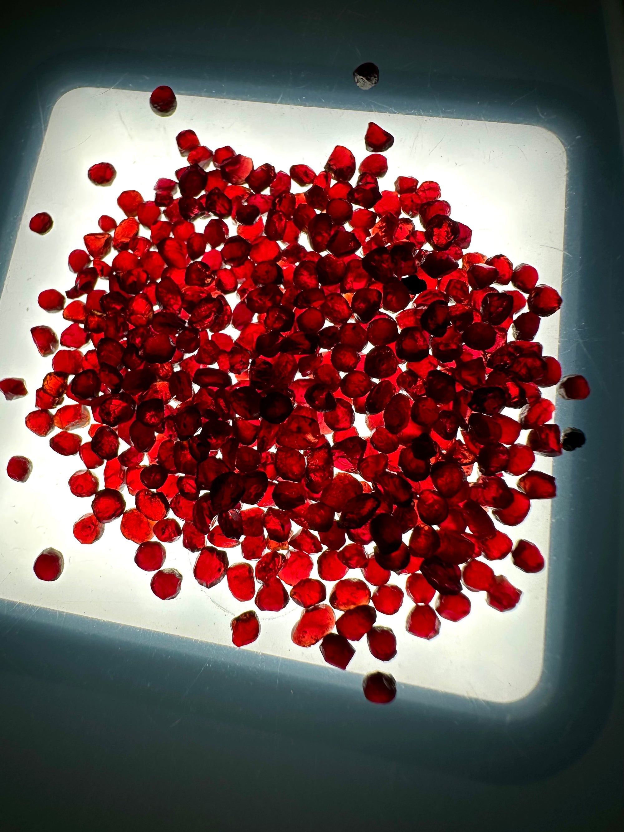 Czech Garnet 10g, 2-3mm – Ceske Stredohori, CZ