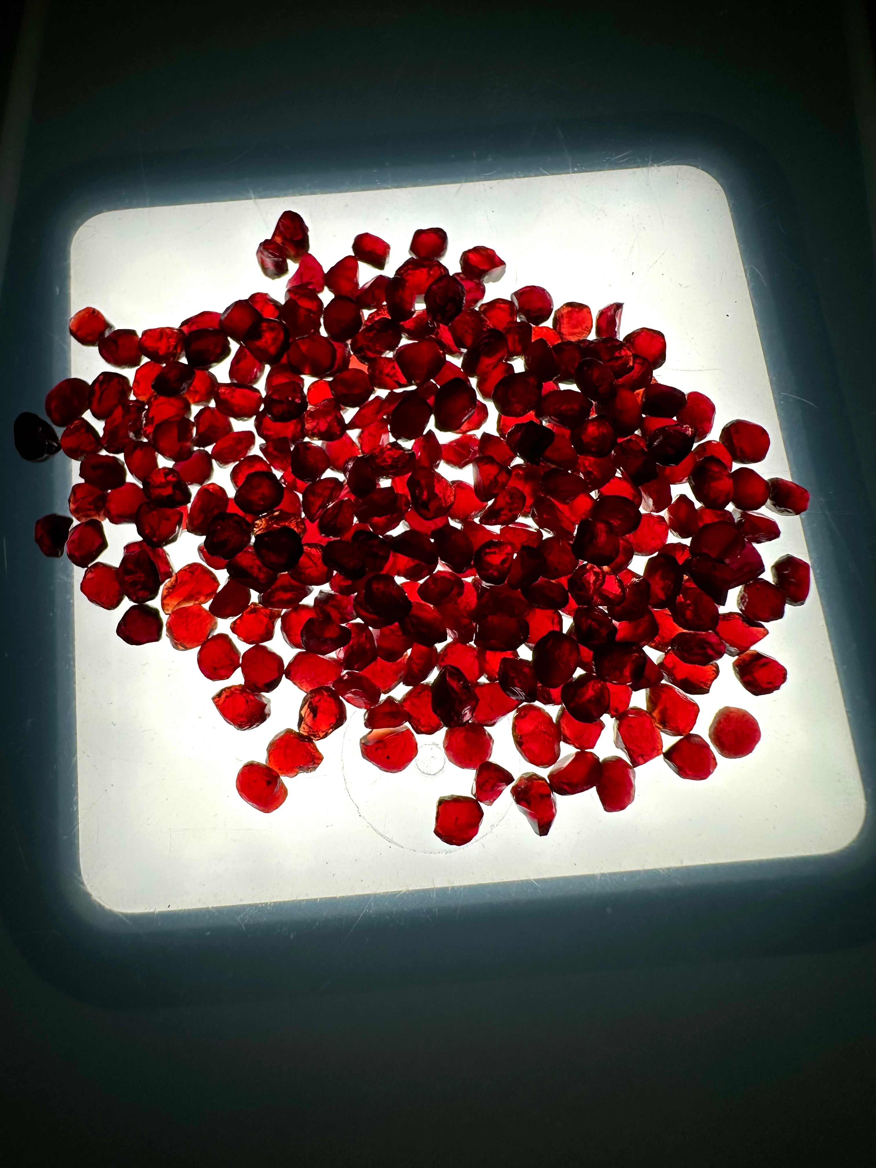 Czech Garnet 10g, 3-4mm – Ceske Stredohori, CZ