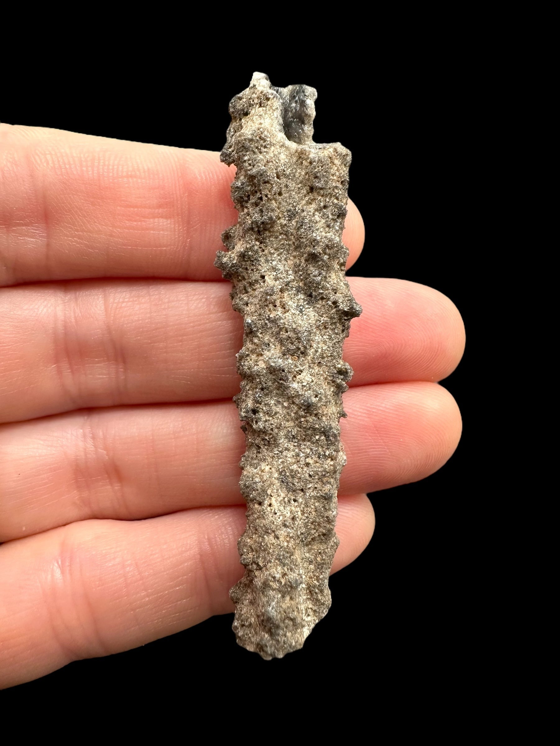 Fulgurite 3,6g – Libyan desert, Egypt