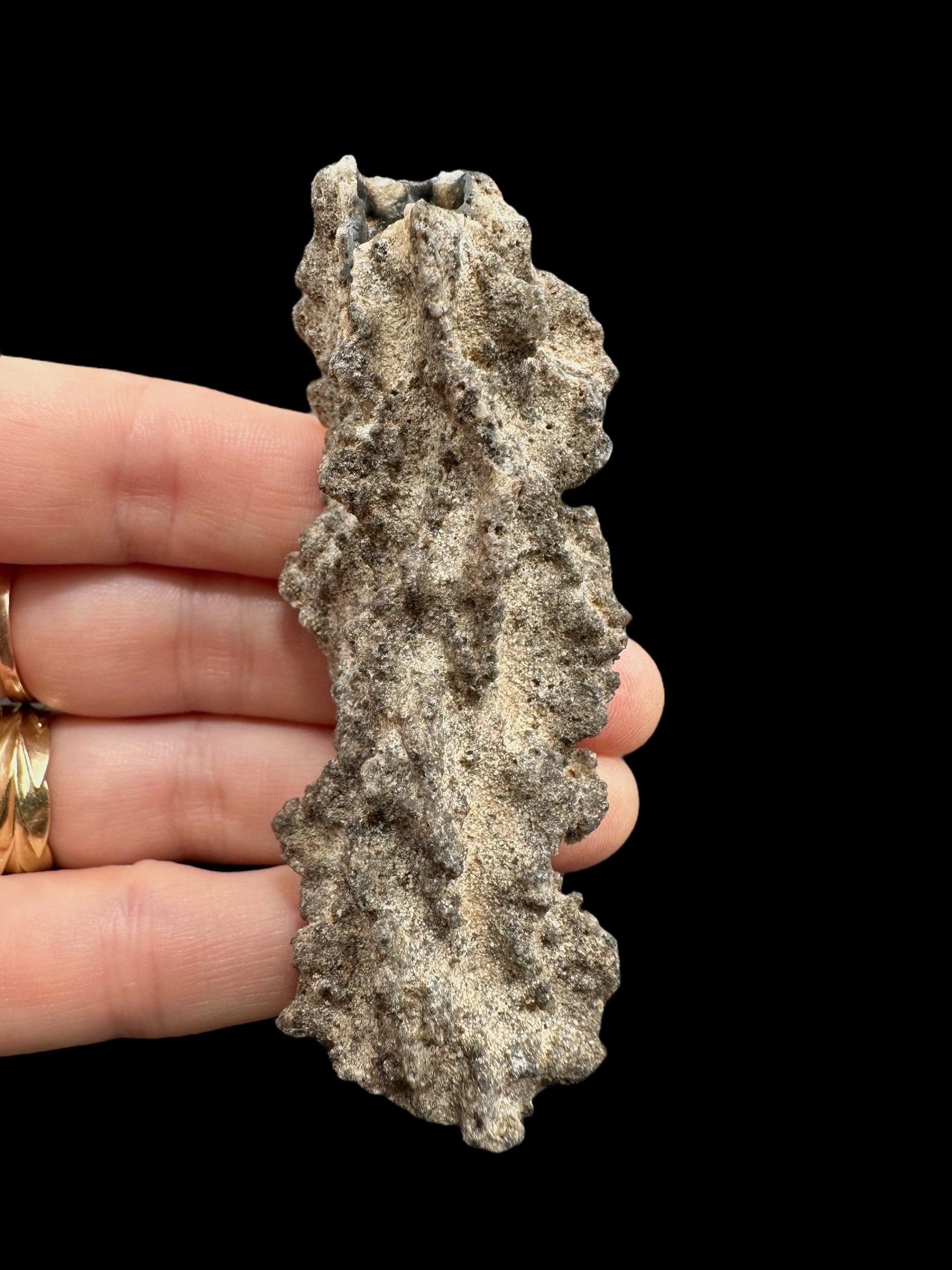 Fulgurite 15g – Libyan desert, Egypt - FU098