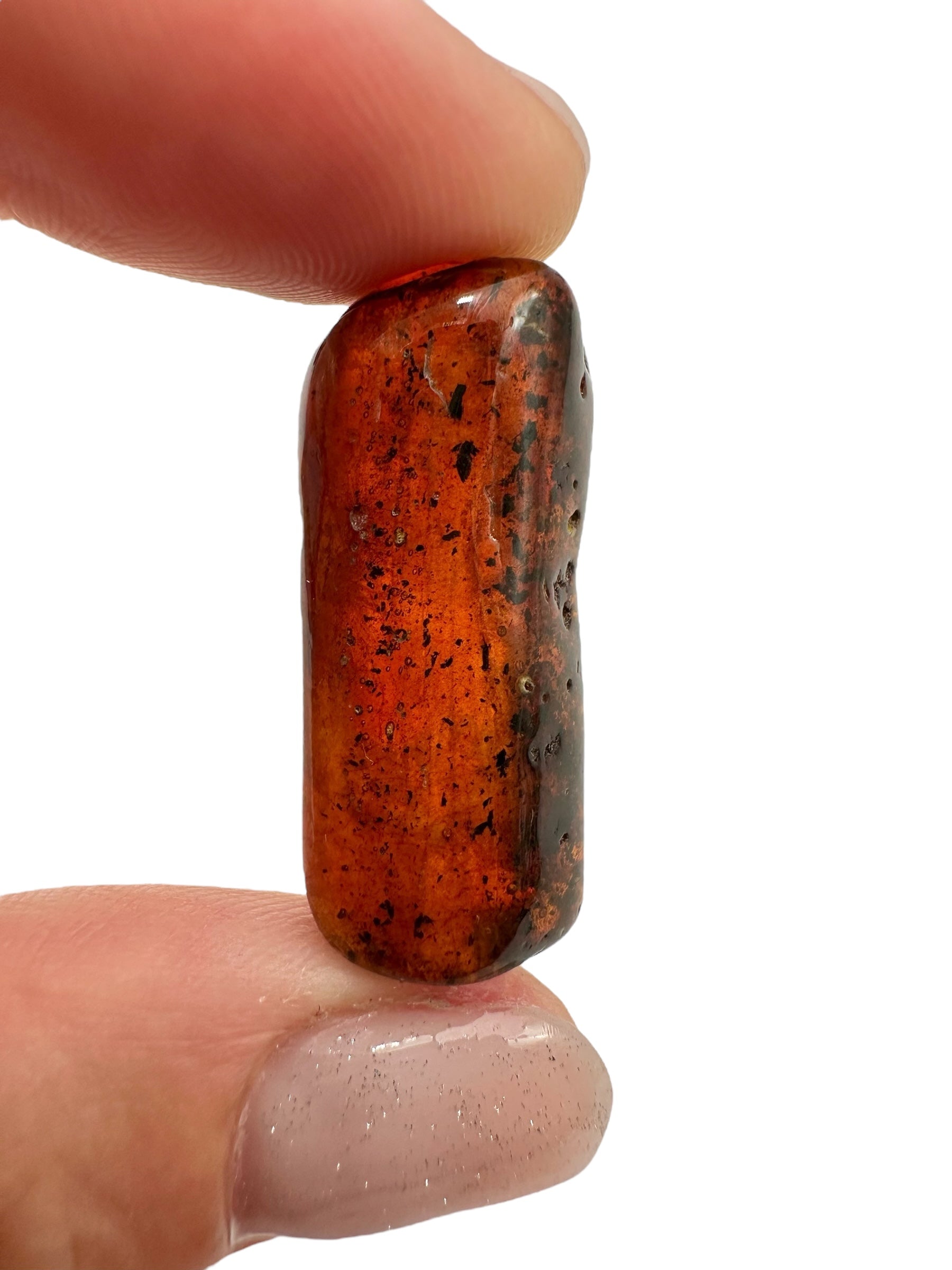 Insects in amber 2,7g – Lithuania - IJ130
