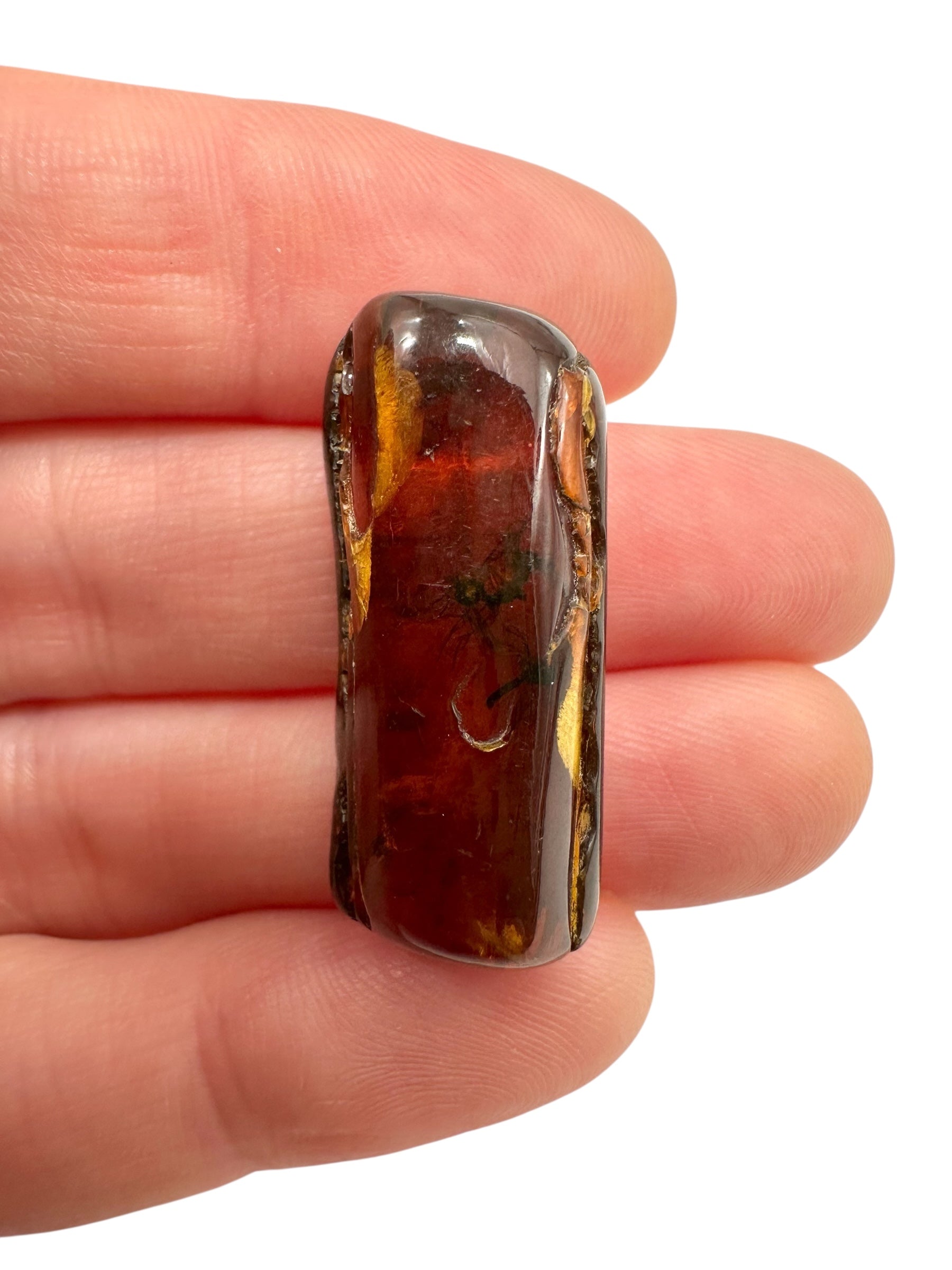 Insects in amber 2,7g – Lithuania - IJ130